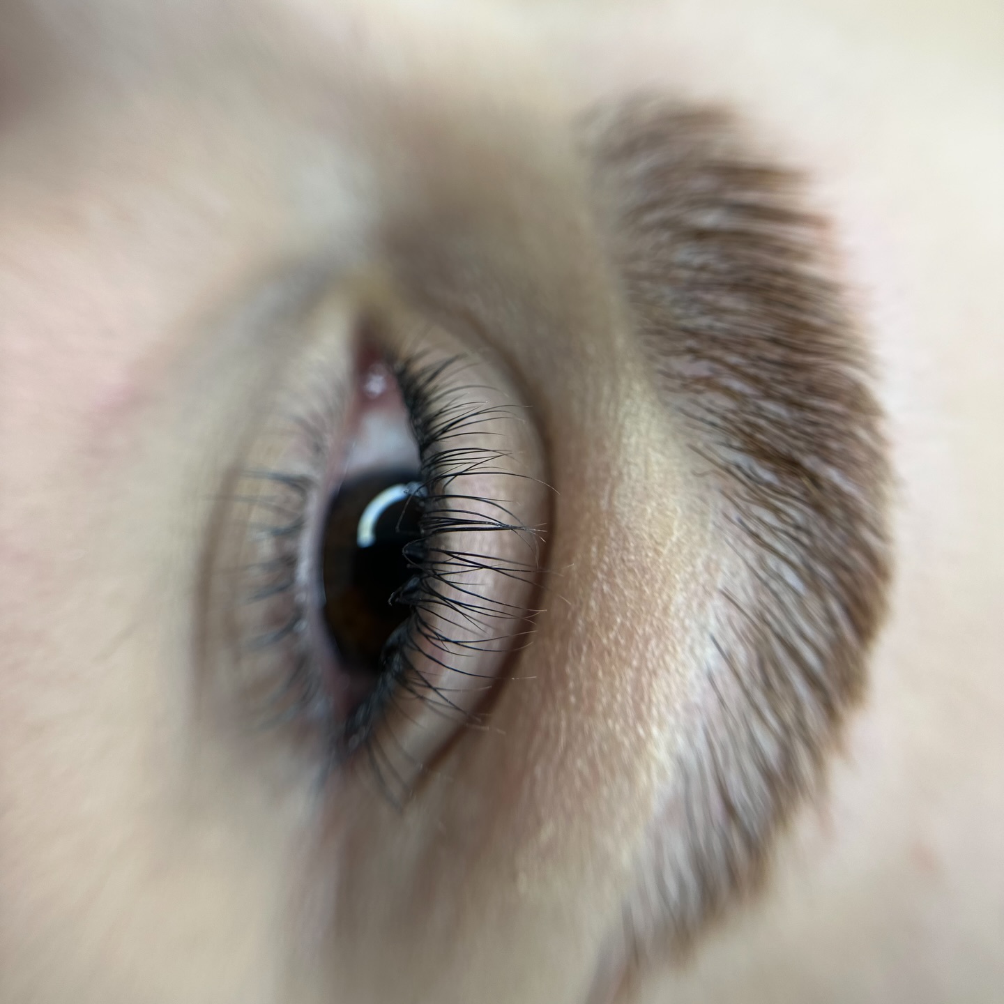 KİRPİK LİFTİNG & LAMİNASYON