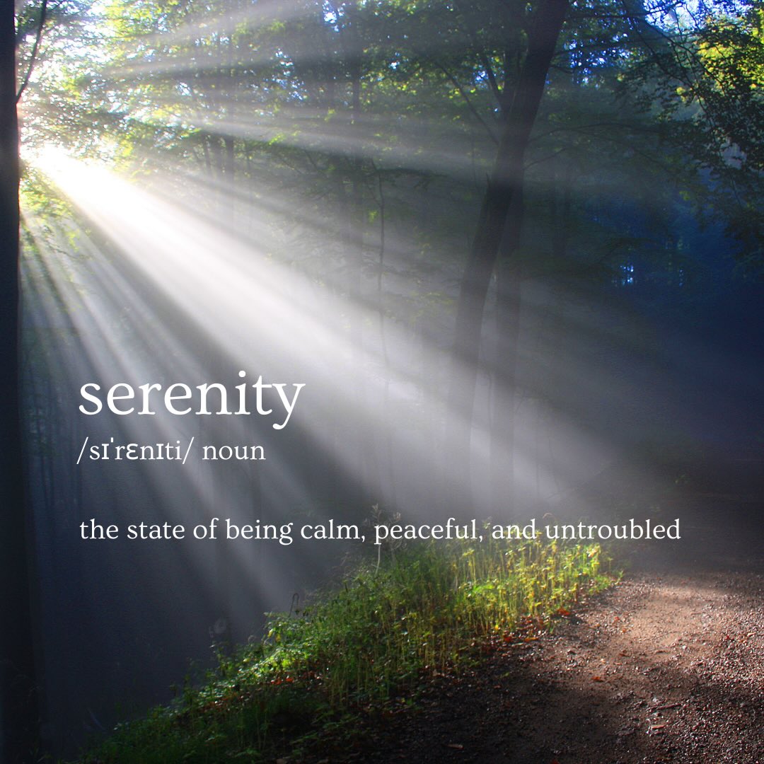 This is what we gently practice on the mat.
One breath at a time.
#yogalondon #gentleyoga #nervoussystemregulation #serenity