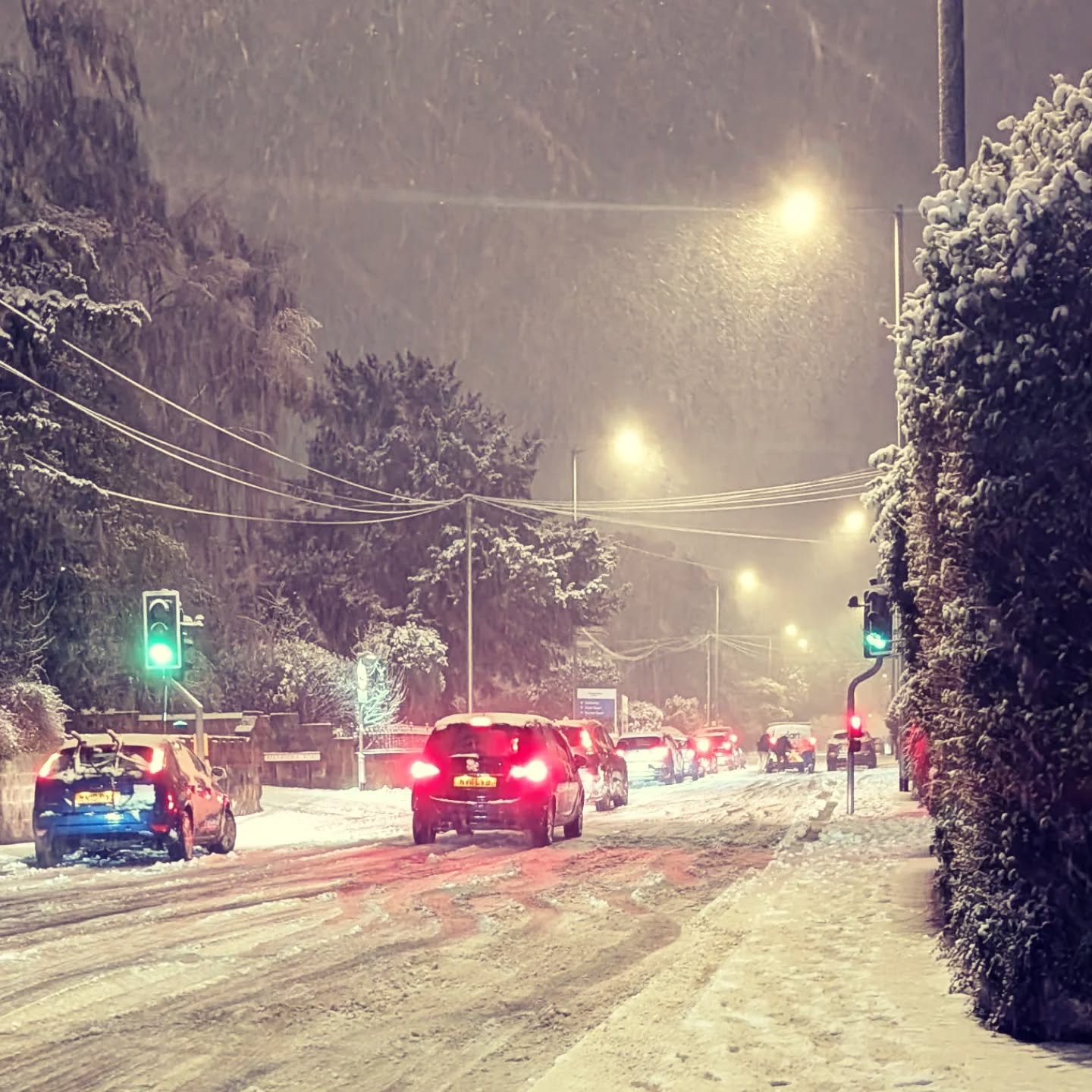 Snowy night around us... Chaos on the road, and so peaceful at midnight in the garden
#snowday #snow #gardenlove #coldhandswarmheart #hazyshadeofwinter