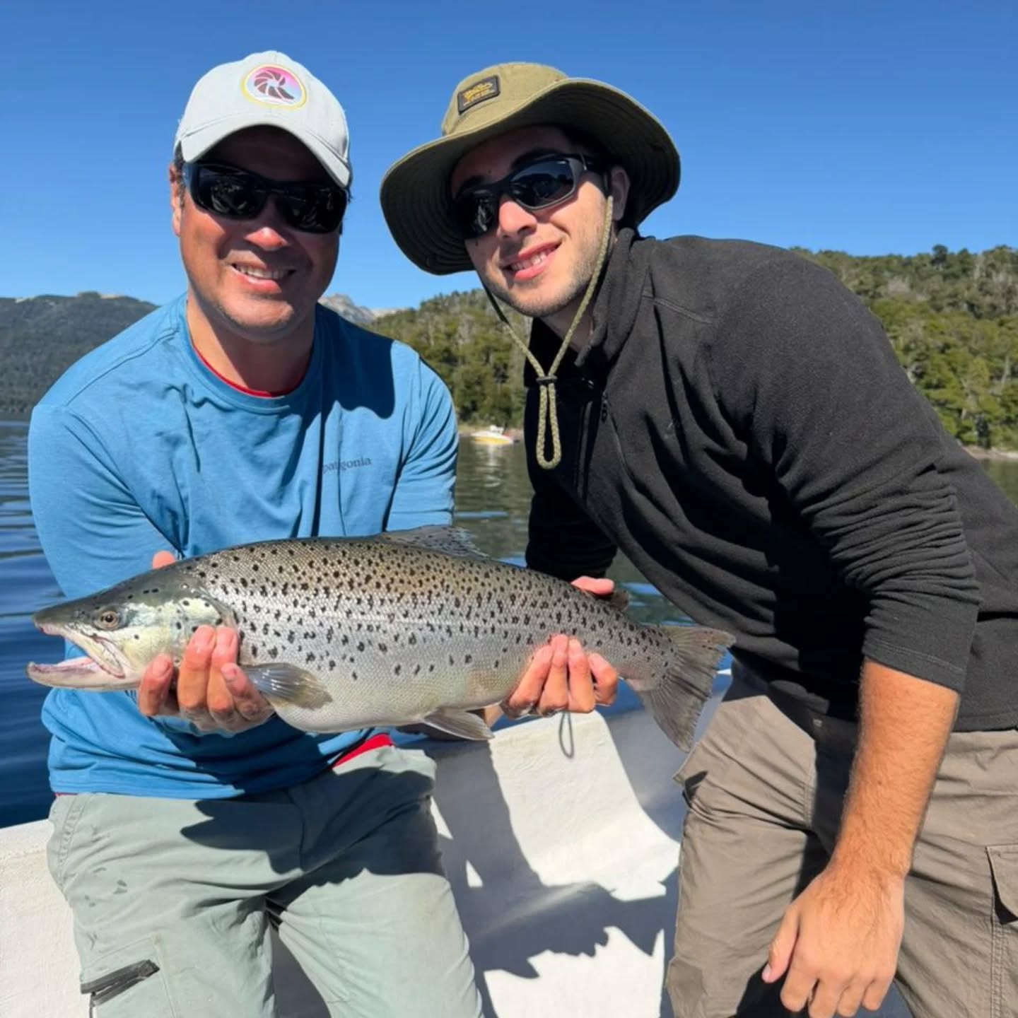 Arrancamos la temporada 2026.
Un inicio marcado por altas temperaturas, jornadas agradables y muy buenos resultados en pesca: piques constantes, peces bien alimentados y con excelente colorido.
El 2026 se presenta como un año con buena presencia de truchas, activas y en buen estado.
Como punto a destacar, observamos niveles de agua más bajos que en temporadas anteriores, una condición que ya se empieza a notar y que requiere lectura fina del ambiente y pesca responsable.
.
Seguimos trabajando cada jornada con una sola idea:
interpretar el entorno, adaptarnos a las condiciones y respetar el recurso.
.
🌐 www.puyenes.com
📱 +54 9 2944 214869
Puyenes – Servicio de Pesca
.
.
.
.
#Puyenes #Temporada2026 #PescaPatagonica #FlyFishing #PescaConMosca #Truchas #LagoNahuelHuapi #PatagoniaArgentina #PescaResponsable #CatchAndRelease #OutdoorLife #NaturalezaPatagonica #FishingSeason #FishingReport #TroutFishing #PescaDeportiva #aventuraconconciencia