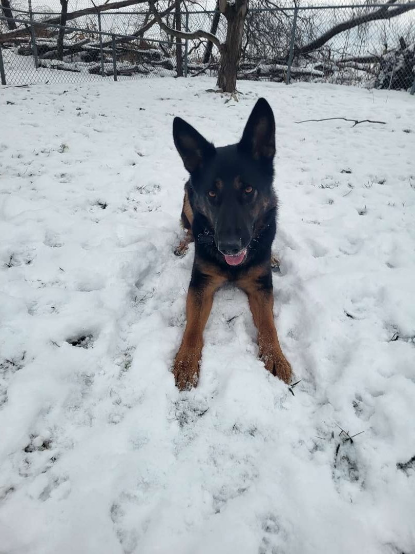 Happy New Year!!🥳🐾