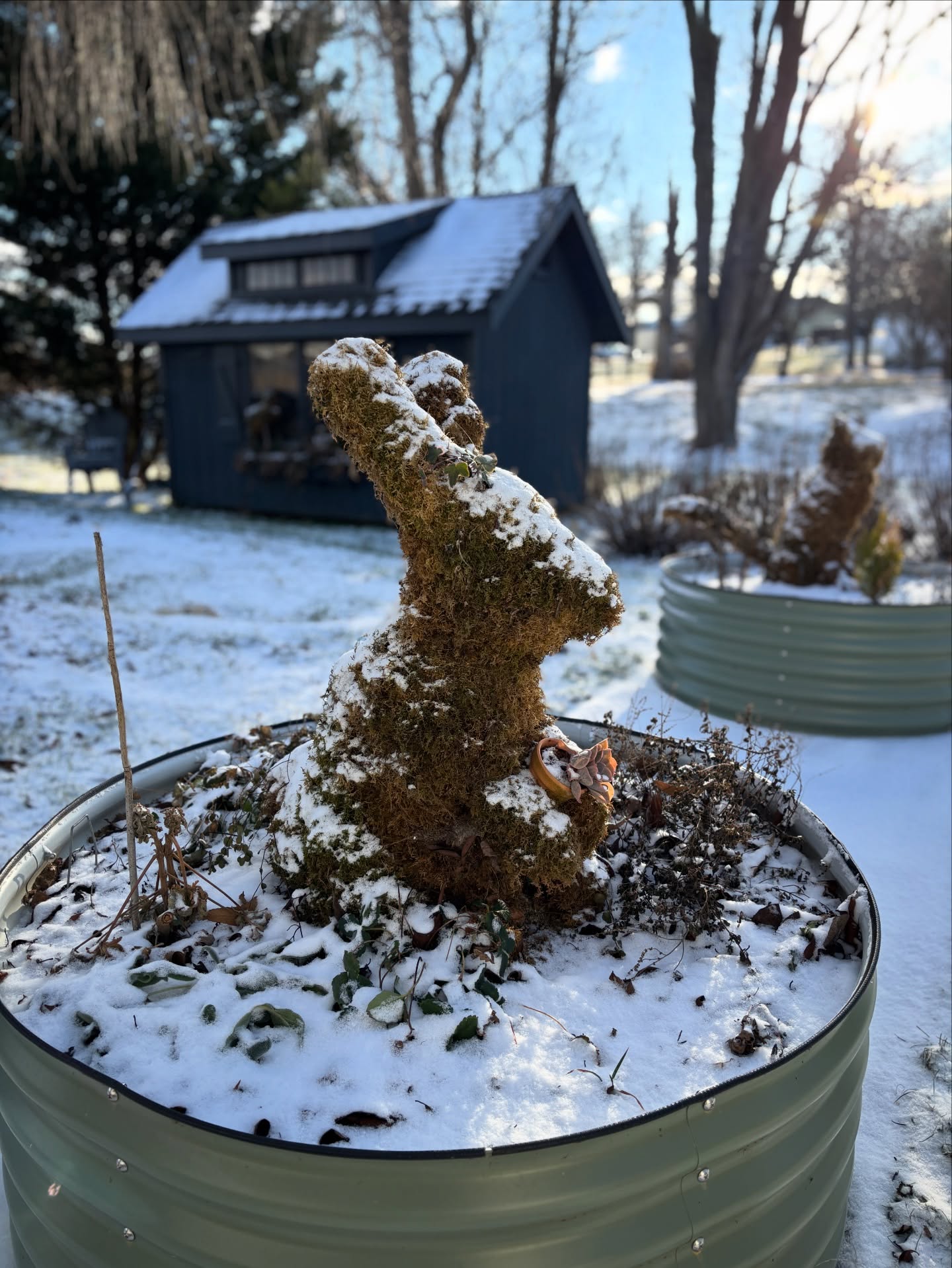 January 2
A snowy silhouette, but bunny has her warm, mossy coat to keep her cozy until it's her time to thrive.
Spring will come, but for now we rest with only hints of Strawberry Mint in the crisp air.