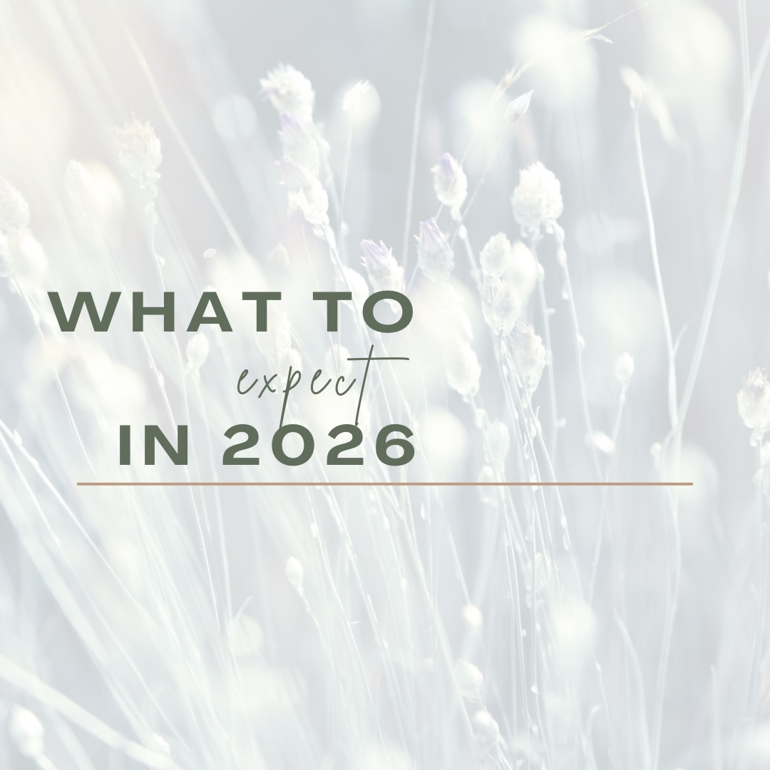 2026 is the year setting intentions and empowering my business and my clients all alike ✨
There’s gonna be a few changes and this week will be the week of house keeping so keep an eye the page here for all the updates.
I am posting and reiterating my policies and pricing for full transparency, to keep everything as clear and concise as possible.
This past year I wasn’t very strict about my cancellation/rescheduling policy. Which resulted in my schedule having a lot of open days that I simply could not fill. Going forward I will adhere to the 48 hour cancellation policy, although during this transition time I will honor a one time “freebie.”
Thank you everyone for all your love, trust, and support! Thank you fo a fantastic year and here’s to another! 🥂