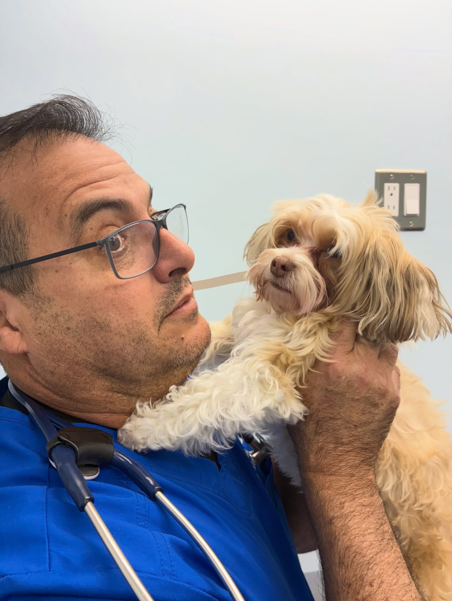 🤣🤣🤣Palmetto Animal Clinic
📲305-824-9990
📍1919 W 68 St. Hialeah, Fl 33014
🌐Website:
https://www.palmettoanimalclinic.net
#palmettoanimalclinic #florida #miami #hialeah #veterinarymedicine vettech vetmed PalmettoAnimalClinic NewPatient FurFamily WelcomeLittleOne