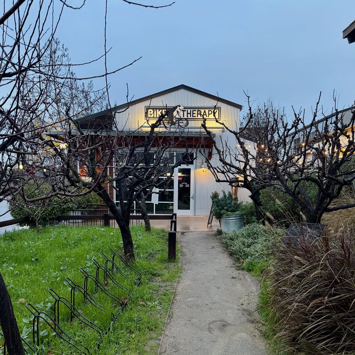 Thanks to this week’s rain, the orchards at The Granary are glowing green. Our heritage fruit trees have been pruned, with fava beans growing below as a vibrant cover crop. Grateful for the rains and welcoming the New Year ahead. 🌧️🌿
- @mhcoc @visitmorganhillca @destination_downtown_mh