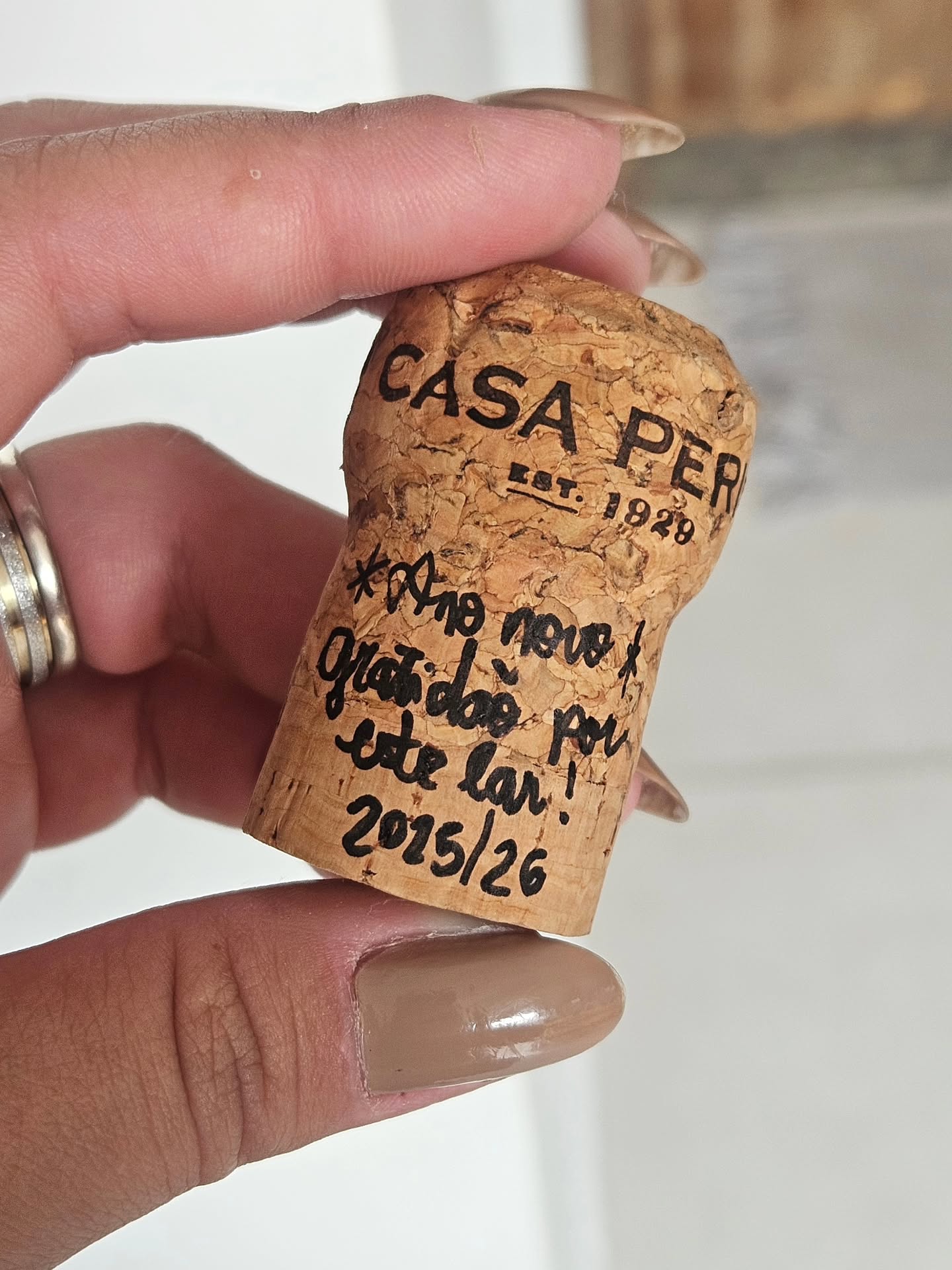 O primeiro amanhecer de 2026 já foi a minha cena favorita do ano! ✨️
Entre família e amigos, no meu lar, mesa farta, rindo, chorando, conversando, cantando... tudo como eu planejei e com a graça de Deus 🙏🏼 E ainda teve tempo para o primeiro banho de chuva 🌦🌈
Que este ano venha com saúde, proteção, estudo, trabalho bem feito, mais conquistas silenciosas, mais motivos para comemorar e dias tão bonitos quanto esse amanhecer 🥹💖🍾🥂
Feliz (primeiro dia útil de) 2026!