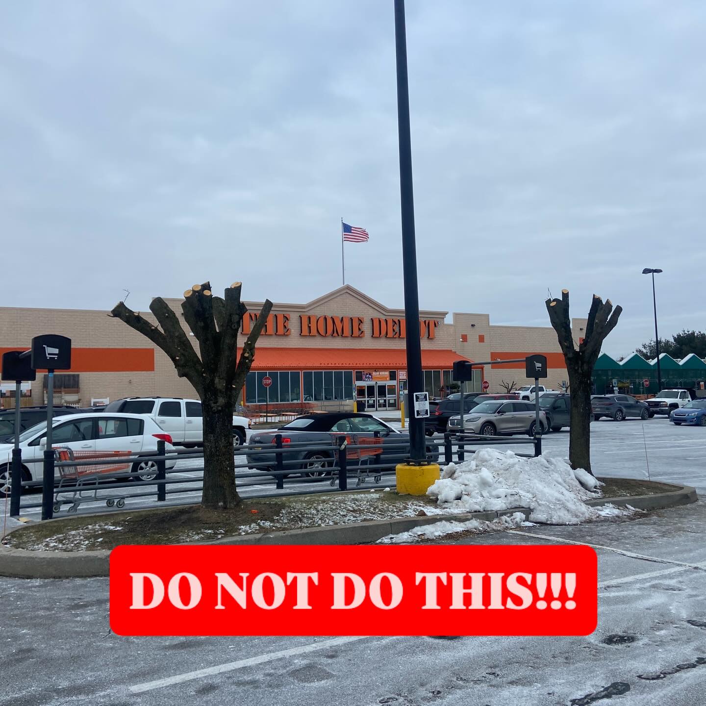 This is a good learning moment. We understand that during these times saving money is the top of everyoneβs mind. A customer may be thinking, letβs just pay for this type of service now and then we wonβt have to pay for it again for a long time. Unfortunately, companies will take advantage of this type of thinking, or may not know the science behind it themselves.
Hereβs the truth. These trees were not trimmed properly and now they are vulnerable to insect and disease attraction, decay and internal rot, sunscald, weak regrowth, and a shortened lifespan
Moving forward, this type of βtrimβ will cost the costumer more money by putting the tree in shock and causing new rapid growth and needing attention sooner and typically shortening the lifespan of the tree.