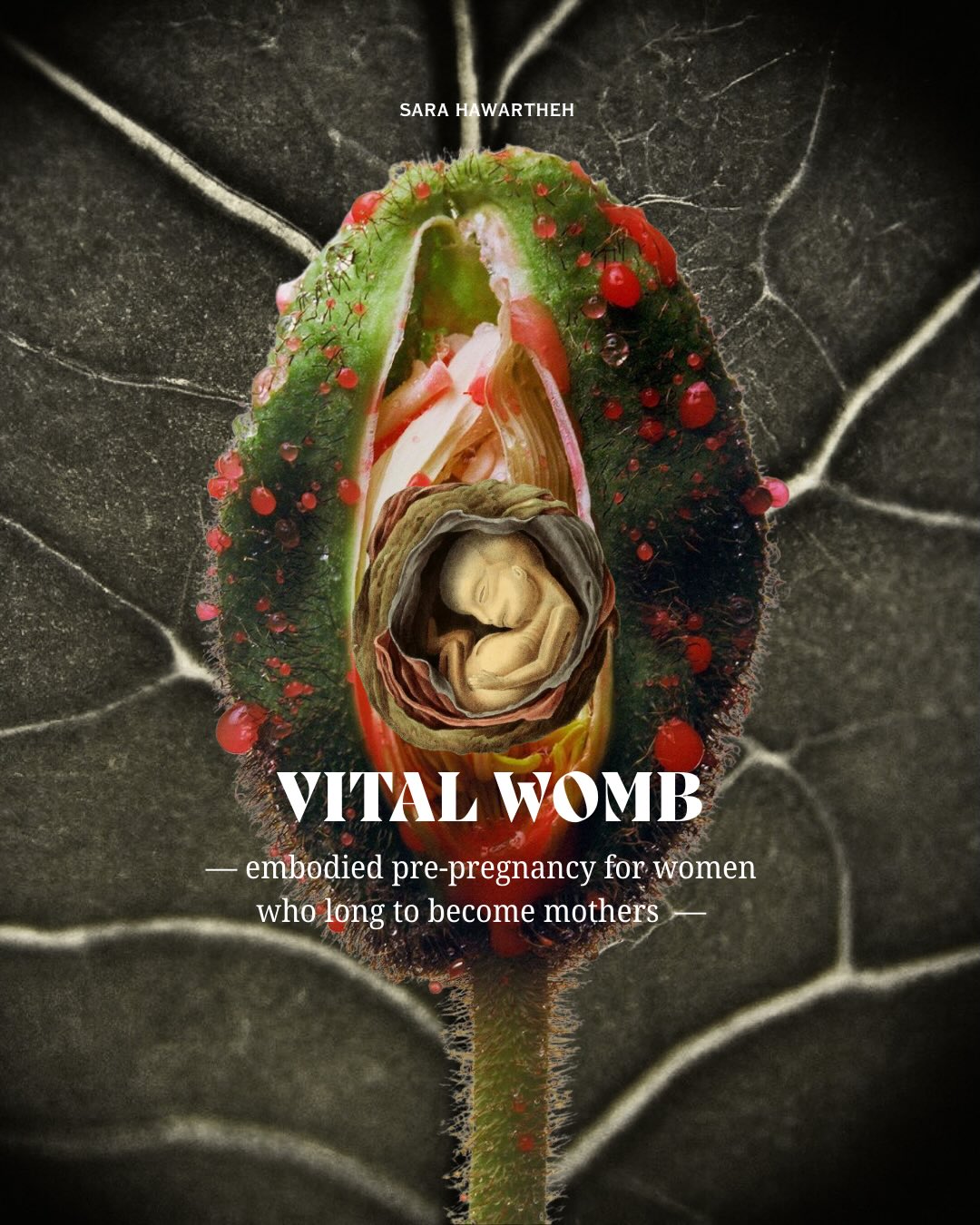 i conceived with VITAL WOMB after a sleepless night of longing & grief. it arrived at dawn and i had not felt the presence of the great mother this clearly & strongly for a while. since i received the seed of this mighty creation it´s been gestating and now it feels ready to be shared. here we go.🔥
VITAL WOMB is a space to embody your fertility as your original state, feed your vitality as woman & nurture your capacity to channel your longing into creation.
womb & heart & nervous system coherence.
education & embodiment & ritual.
self-touch.
community.
woman, you will know if this one is for you. i know you feel the longing to be a mother, perhaps you always felt it, perhaps it´s recent, but it´s clear.
i don´t plan on writing a long sales pitch here.
i really trust that you will just know.
this is the beginning of something bigger.
we start with a day-intensive.
VITAL WOMB | day-intensive in Berlin
21.2 | OSMOS STUDIO | 10:00 - 16:00
space limited to 10 women
🔗LINK for TICKETS in BIO