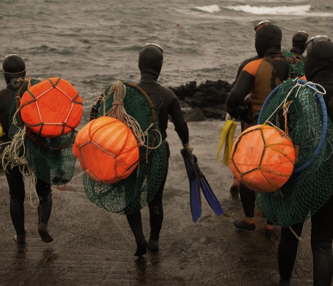 real life mermaids 🍊