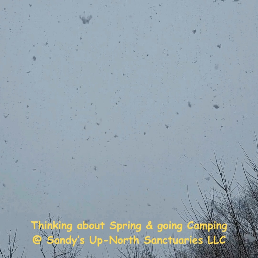 Thinking about Spring.....