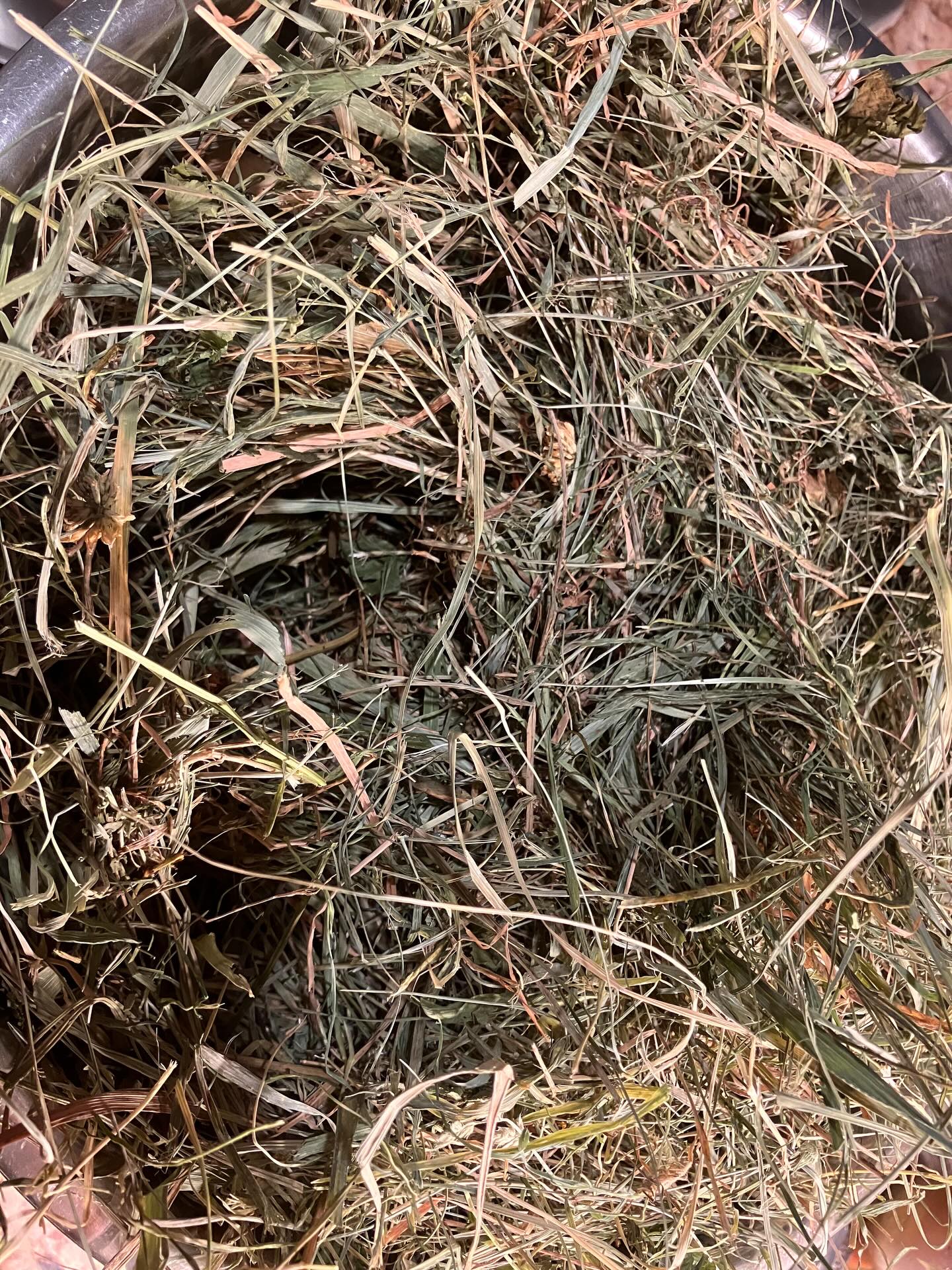 Hay roasted chicken! The easiest most impressive recipe you’ll ever enjoy! INGREDIENTS
3 handfuls hay grass (fully natural non sprayed or treated). You can get this from many local farmers or ask us and we’ll bring you some!
1 good quality chicken (In this recipe I used a 1.5kg chicken)
A grind of black pepper to season
A sprinkle of rock salt to decorate
50 grams salted butter for the finishing touch after the chicken is cooked
For the dough used to seal the pot (not to be eaten)
300 grams all purpose flour
150ml water
Cooking time: 1 hour at 190 Degrees Celsius (374 Fahrenheit)
Note
Impress your guests by performing the chicken reveal in front of them. You can place your chicken under the grill for 5 minutes (after it is cooked) to lightly brown the top. Season and baste with salted butter just before serving or carving. Serve with green lettuce, saute potatoes or sauté green beans or even roasted vegetables. https://www.thefrenchcookingacademy.com/recipes/hay-baked-chicken