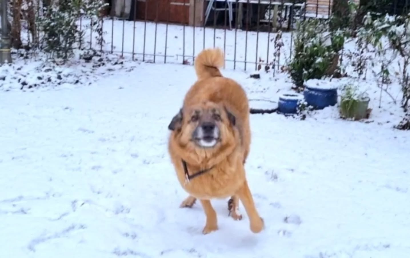 Schnee ❄️🌨💙
Und ein bisschen Spielchen dann auch 🥰
