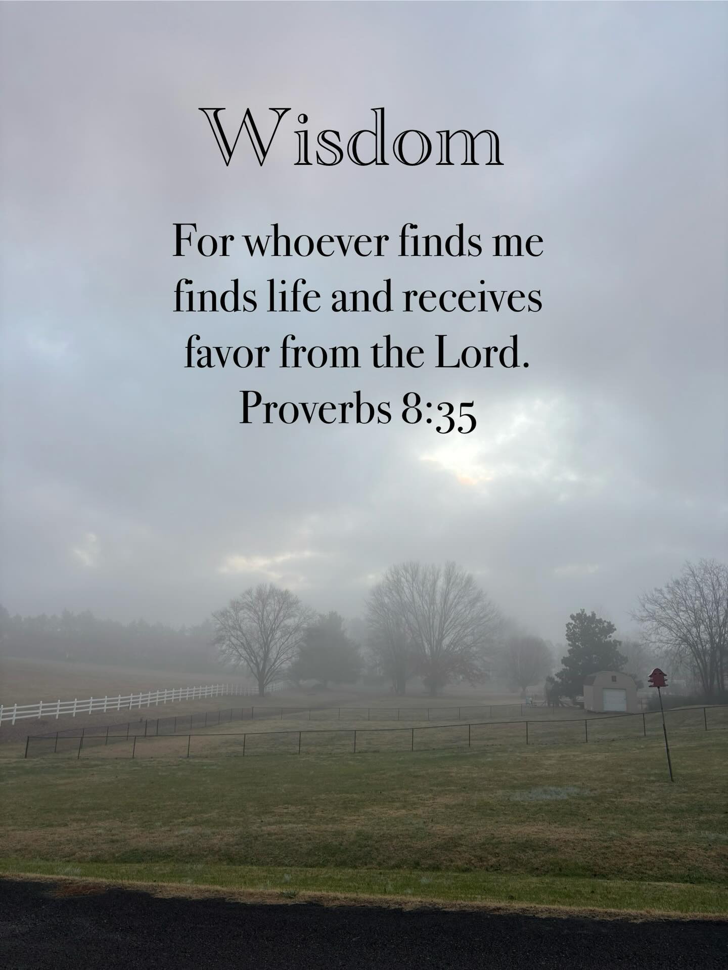 Reading Proverbs. Starting each day in the book of wisdom. There are 31 chapters, one for each day. Its not too late to start.