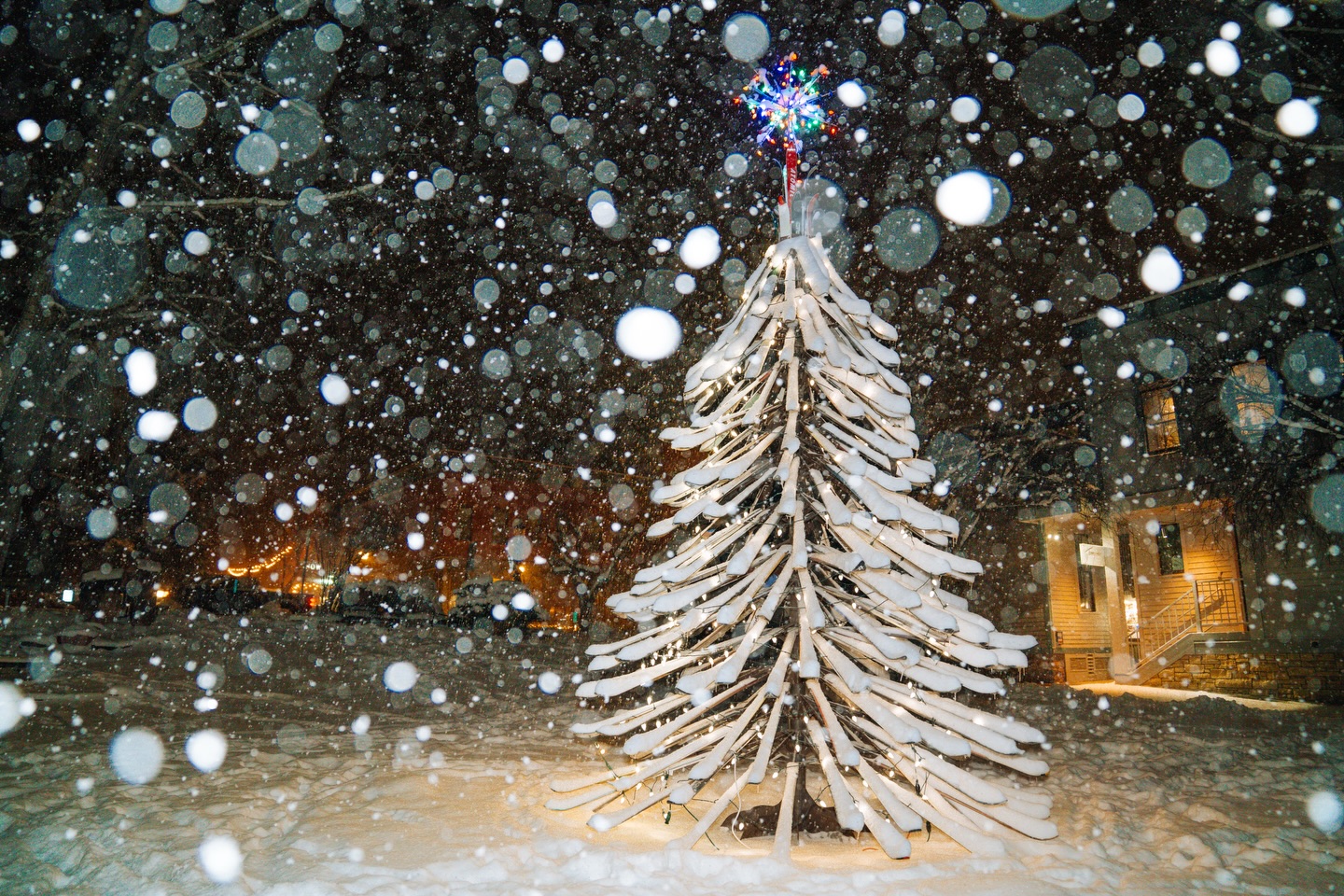 ❄️ The snow we’ve all been waiting on ❄️
✨ While it’s been not the winter we’ve hoped for in Colorado, and even just Telluride, last nights snow just felt a little magical. The lights off the ski tree had a little more glow. The snow falling down slowly felt like a snow globe. ☃️
✨ As I watched the town move, it was as everyone who walked by paused to look around. Taking in a moment, a memory that truly was felt by the entire town. A moment the felt like the entire town taking a breath.✨