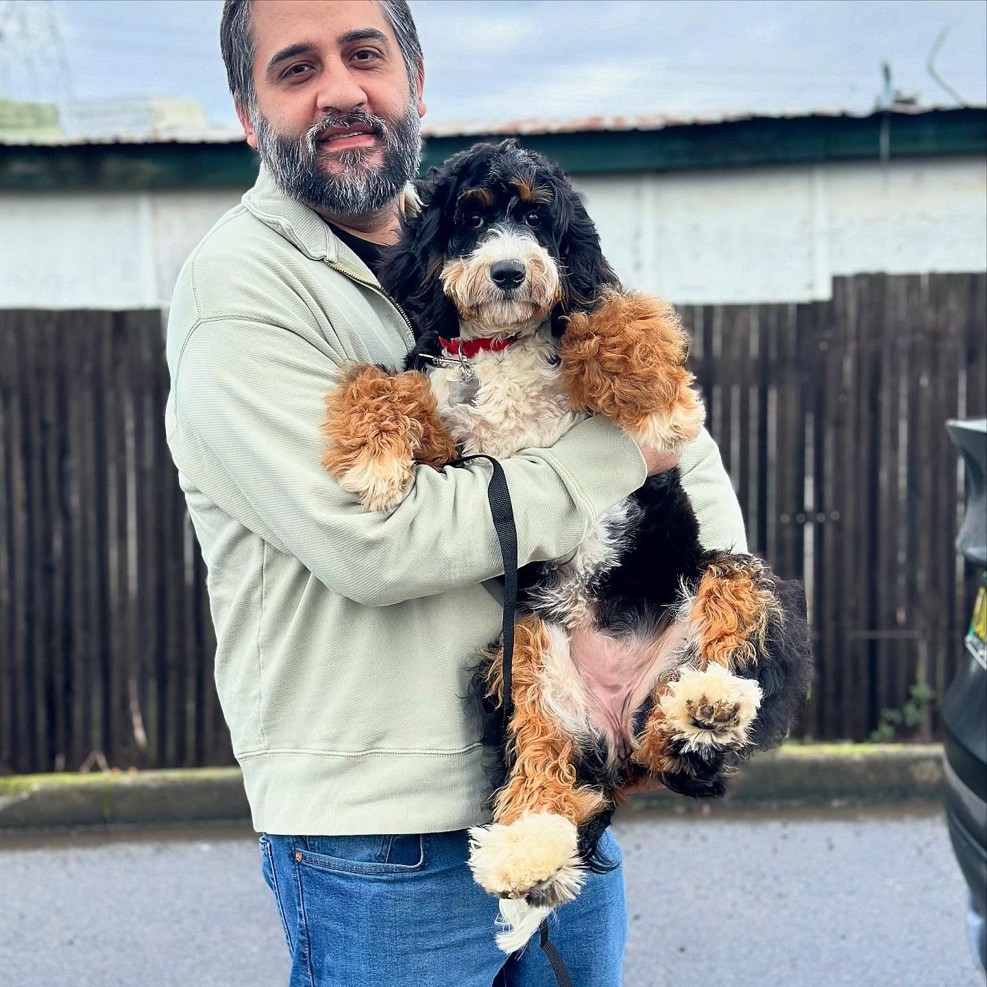 Cannoli and Suki both left to their Guardian homes today! We can’t wait to watch how they mature and are spoiled in their new homes! #LKBernedoodles