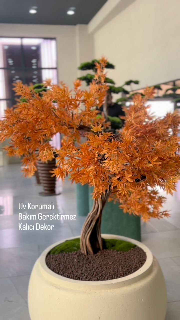 Doğal ağacın sıcaklığı, gerçeğe en yakın dokuda ve yüksek kaliteli malzemelerle ustalıkla işleniyor. Sıradan bir yapay ağaç değil, sürdürülebilir bir sanat eseri. #artificialbonsai #dekoratifağaçlar #