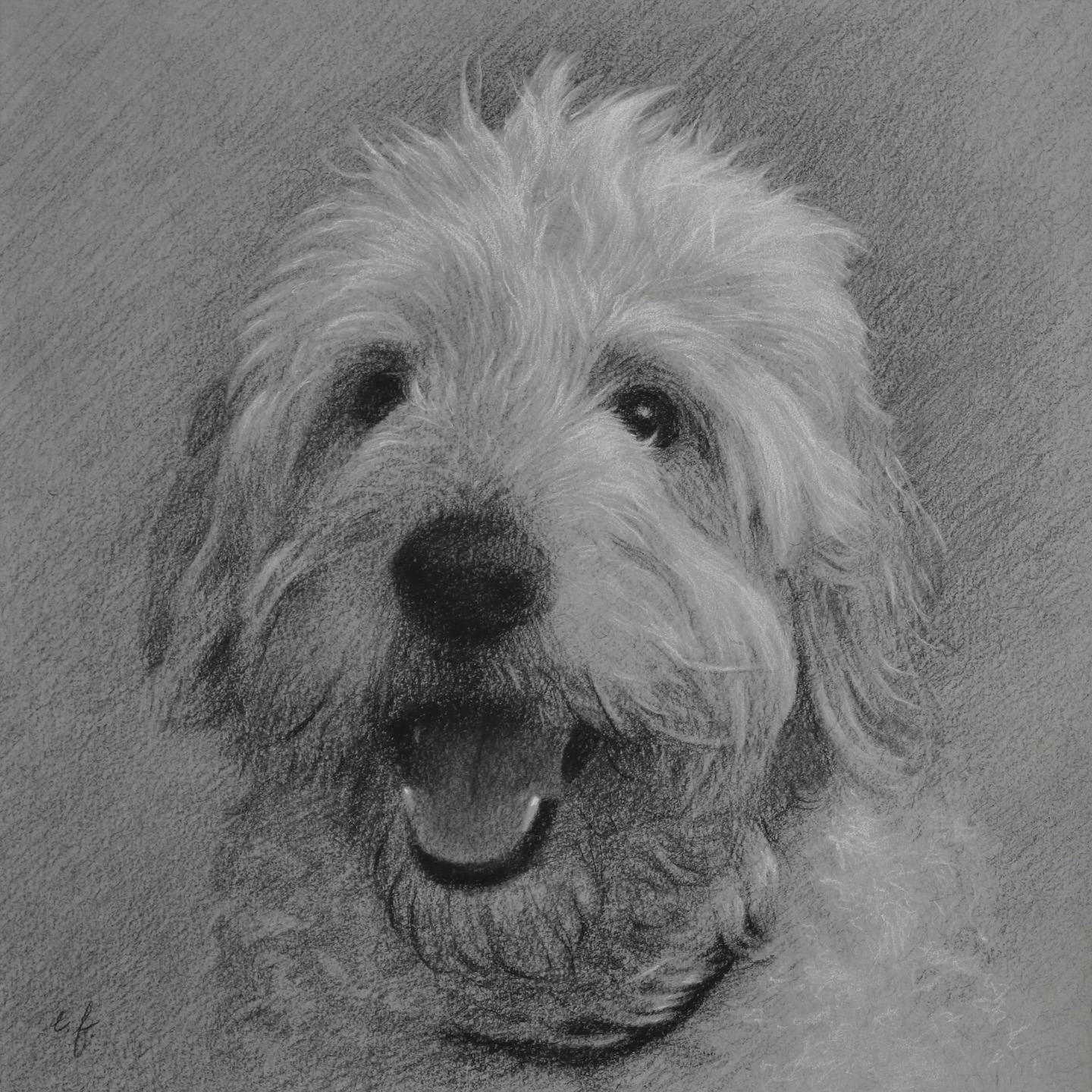 Commission reveal from this Christmas. This sweet boy went before his time, so I was happy to give his family something to treasure for years to come. ♡
#emilyfossumart #charcoalsketch #charcoalportrait #generalpencil #dogportrait