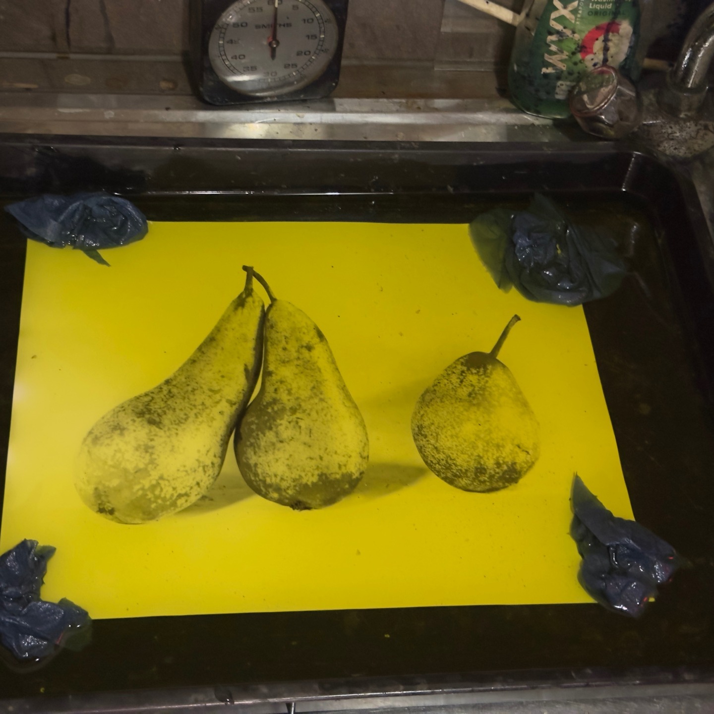 Exciting to try a new process - Speia toning. This is the bleaching stage to oxidise the silver - this process and its result will be shared at my upcoming talks: Clevedon Art Club, Clevedon School: 10-02-2026
Forest of Dean Camera Club: 23-03-2026
Stroud Camera Club: 10-10-2026
Backwell Camera Club: 03-12-2026 @clevedon_art_club @forest_of_dean_camera_club @stroudcameraclub @backwellcameraclub #alternativephotographicprocess #largeformatphotography