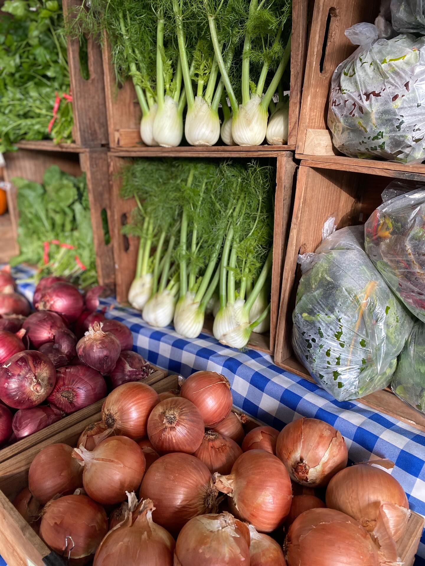 Pop-up today! Open from 10am to 1pm on our farm.