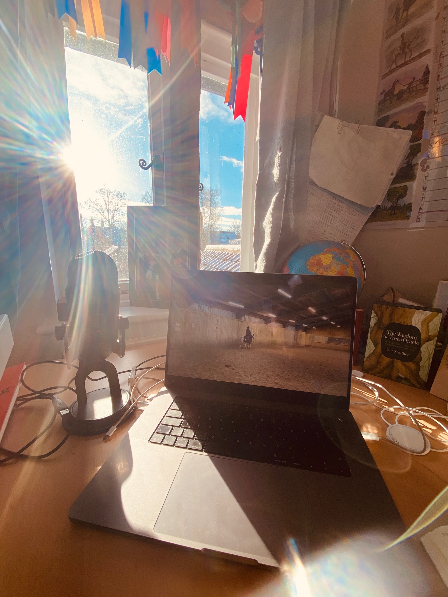 A morning setting exercise plans for my lovely members to help them start their 2026 off the right way.
My members assesments are new and are proving really popular 🙌🏻 where I watch videos of them riding, get them to fill out a short questionnaire and then guide them to the right part of the academy with a course and some tips to follow…we then re-asses after a few weeks.
This allows them to be supported and guided and to make the most of their membership, like having a coach in their pocket 🎧
And what a beautiful morning it is ❄️❄️