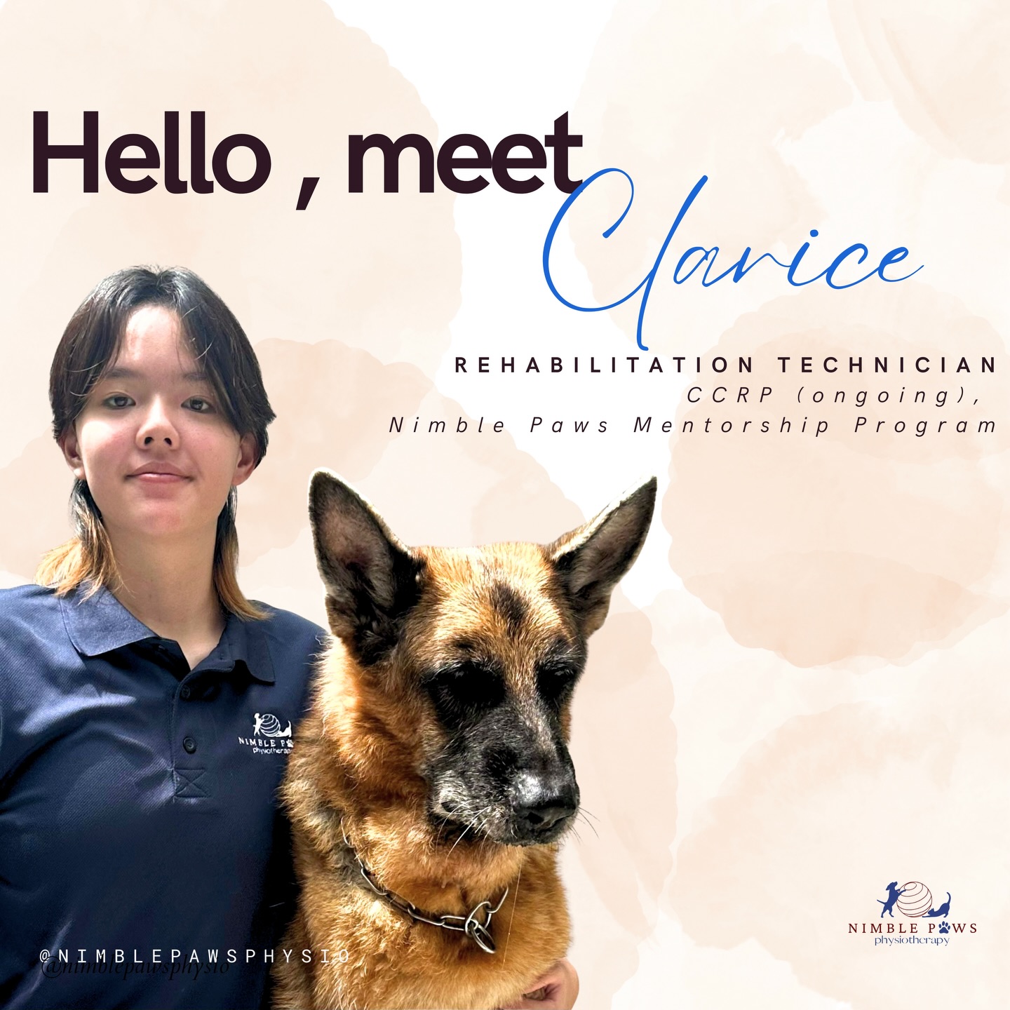 Meet Clarice š©µ
Clariceās journey into rehabilitation began as a pet owner ā when her own dog, Jagger, needed more than time and rest to recover. Seeing how rehabilitation played a huge role in helping Jagger regain his mobility changed how she viewed care, movement, and recovery.
Today, Clarice is a rehabilitation technician at Nimble Paws. She brings a calm presence to each session, is thoughtful with handling, and pays close attention to the small details that shape how rehabilitation feels for both pet and owner.
Sheās currently pursuing her CCRP training while learning within the Nimble Paws mentorship programme, gradually building her clinical skills in a structured, physiotherapist-led environment.
Weāre grateful to support her growth and to have her as part of the work we do every day.
#nimblepaws #movementmatters #caninerehab #dogphysio #sgdogs