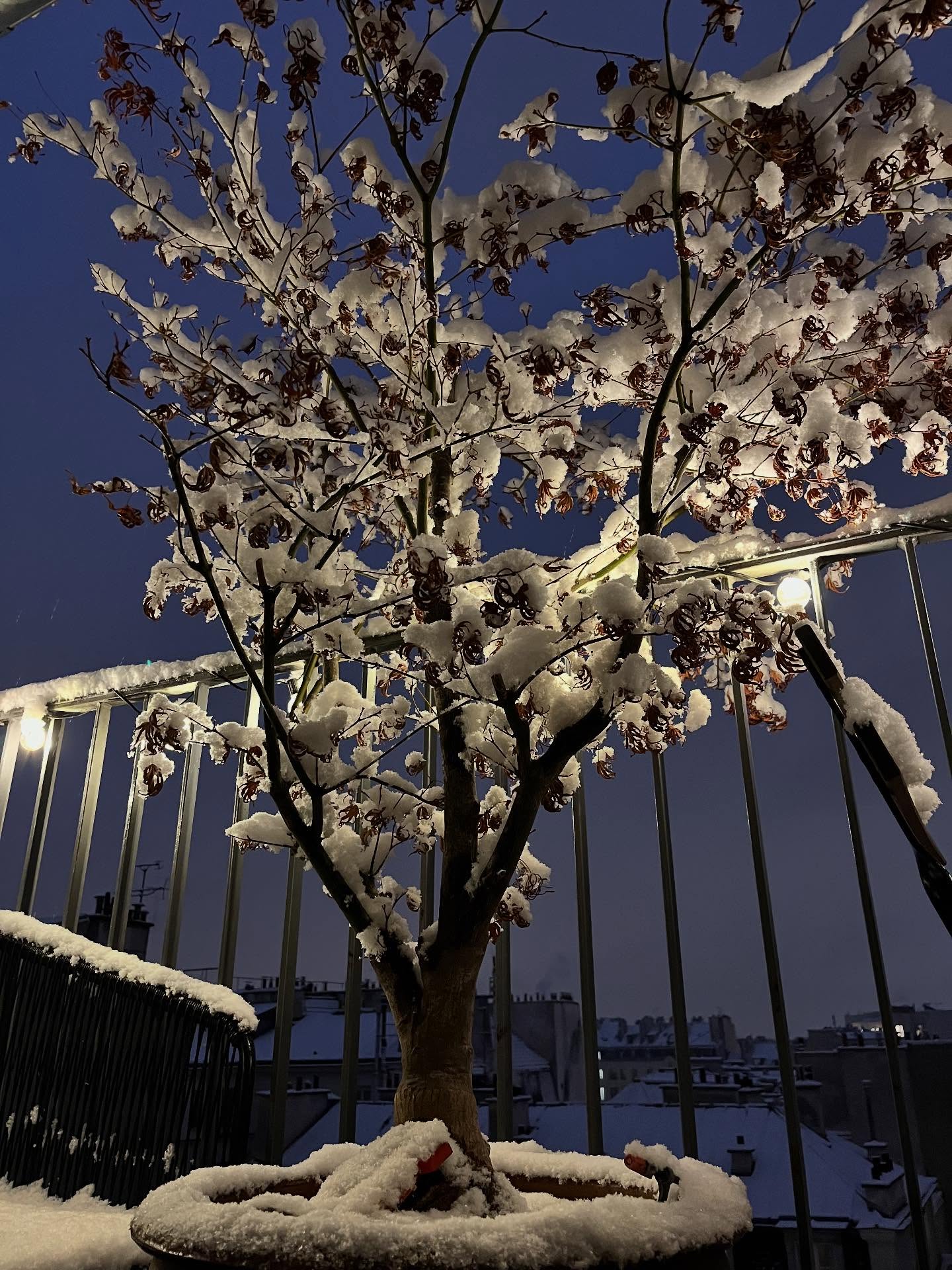A snowy balcony ❄️ #snowinparis#paris#rentalapartment