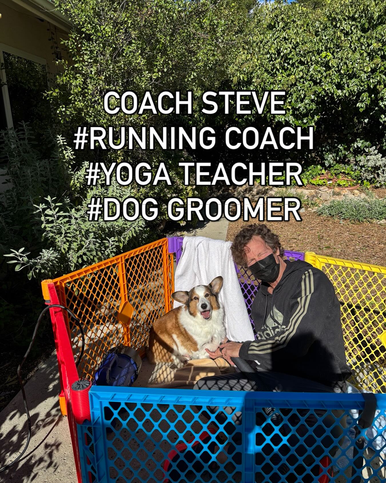 Just added to my profesional profile, Dog #corgi Groomer