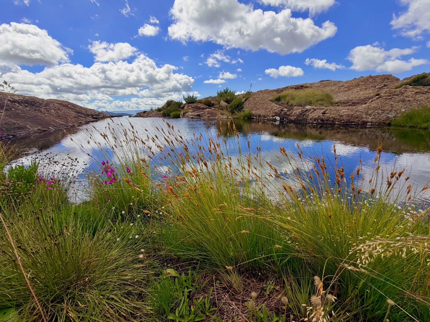 From golden light over the hills to peaceful moments tucked into the landscape — these are a few snapshots of life at Giants Cup Wilderness Reserve. Always changing, always grounding.
#nature #naturecaptures #mountains #mountainlove #drakensberg #getawaytonature #escapethecity #quietplaces #beautifulplaces #beautifulnature #beautifuldestination #drakensberg #drakensbergmountains #natureescape