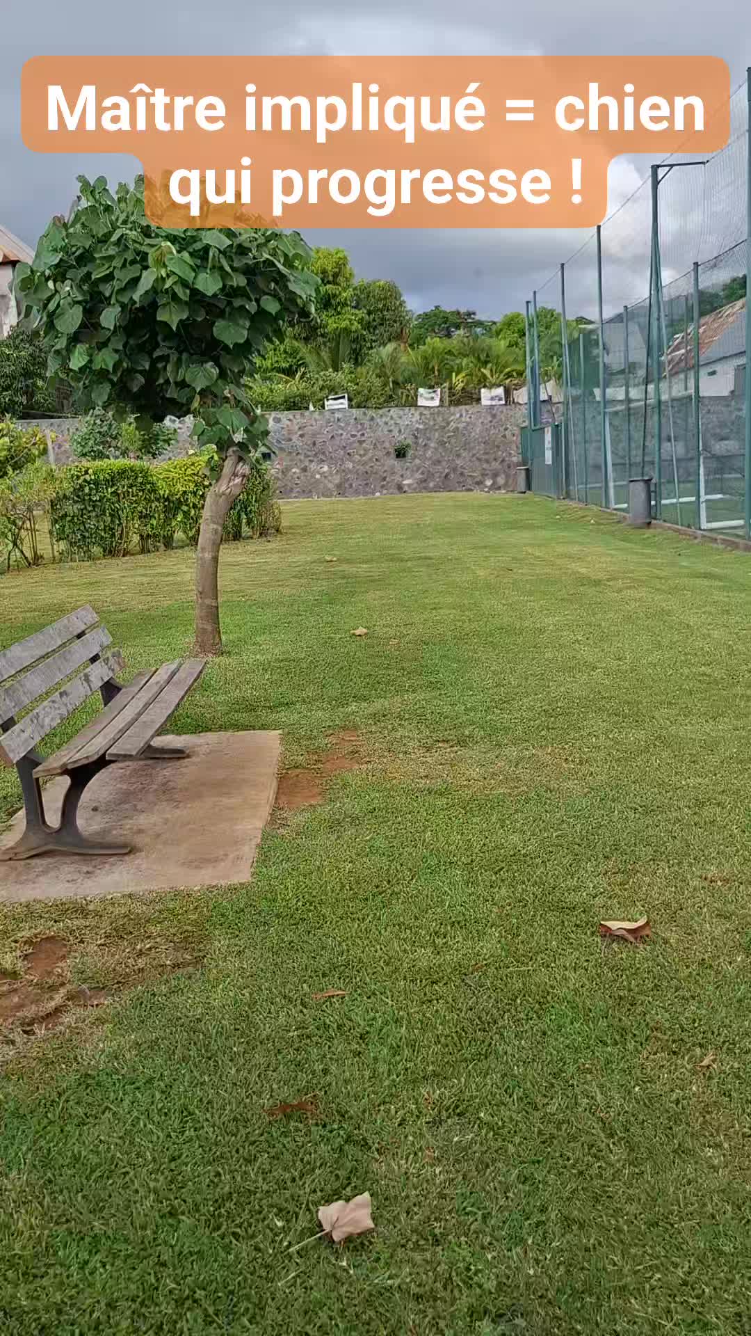 #comportementcanin #educationcanine974 #iledelareunion #educationcaninereunion