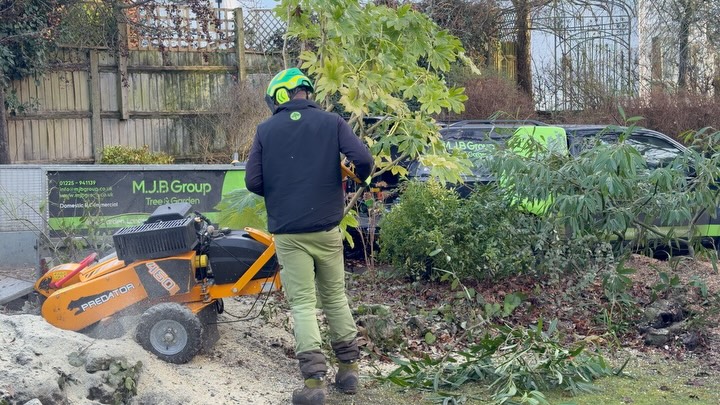 Stump removal day complete 🌳💥
Three semi-large stumps gone and dusted 👌
With our powerful stump grinder, it doesn’t take long to give your garden the space it needs. All chippings tidied and blown away, leaving your garden bigger, cleaner, and ready for what’s next ✨
If you’re looking to have a stump removed — big or small — we can handle it 💪
📧 Email: info@mjbgroup.co.uk
📞 Call: 01225 941139
🌐 For more information, visit www.mjbgroup.co.uk
#StumpRemoval #StumpGrinding #GardenClearance #GardenMaintenance #TreeStumps LandscapingUK GardenServices ProfessionalServices MJBGroup BeforeAndAfter OutdoorSpaces