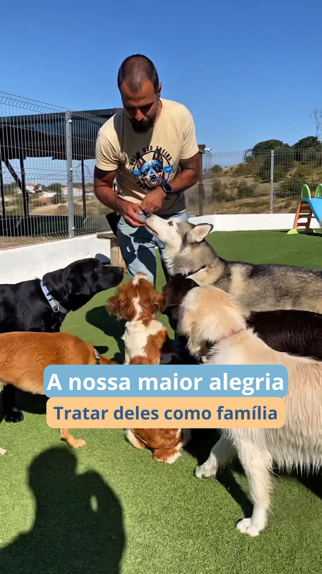 Trabalhar com patudos não é só brincar e sorrisos.
Há dias longos, exigentes e silenciosos.
Há conquistas que quase ninguém vê, um olhar mais calmo, um mimo ou uma lambidela que chega sem ser pedido.
No final do dia estamos cansados, sim.
Mas com o coração mesmo cheio.
Porque cada patudo que passa por nós é tratado com respeito, dedicação e como aquilo que é: família.
