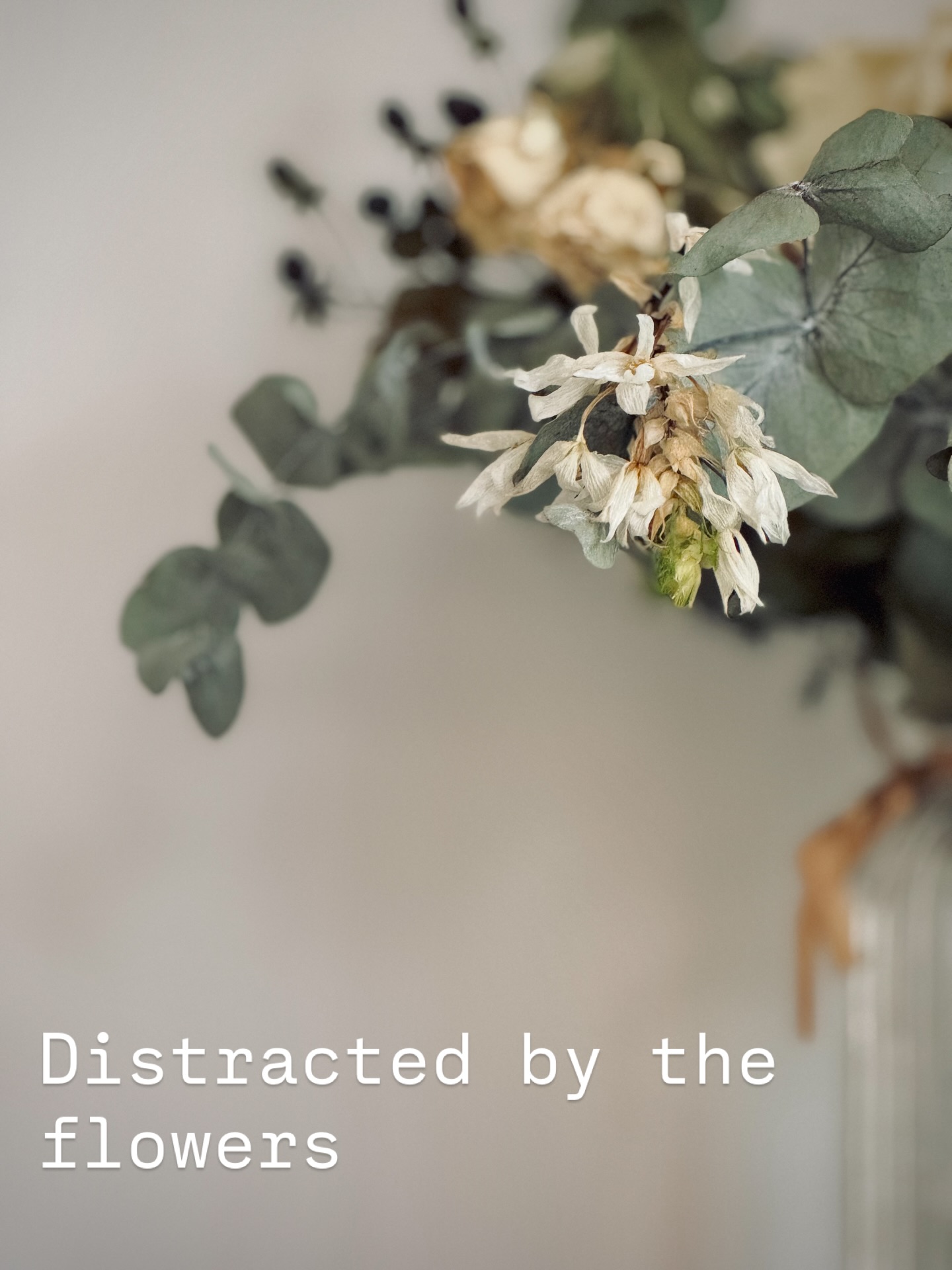 🌸
As always, the flowers in this house are allowed to sit a little longer than most people would allow.
These should have started their recycling process long ago.
However, they are still attracting my attention and distracting me from planning tasks as I sit next to them.
These include roses, eucalyptus, astrantia and I think an allium.