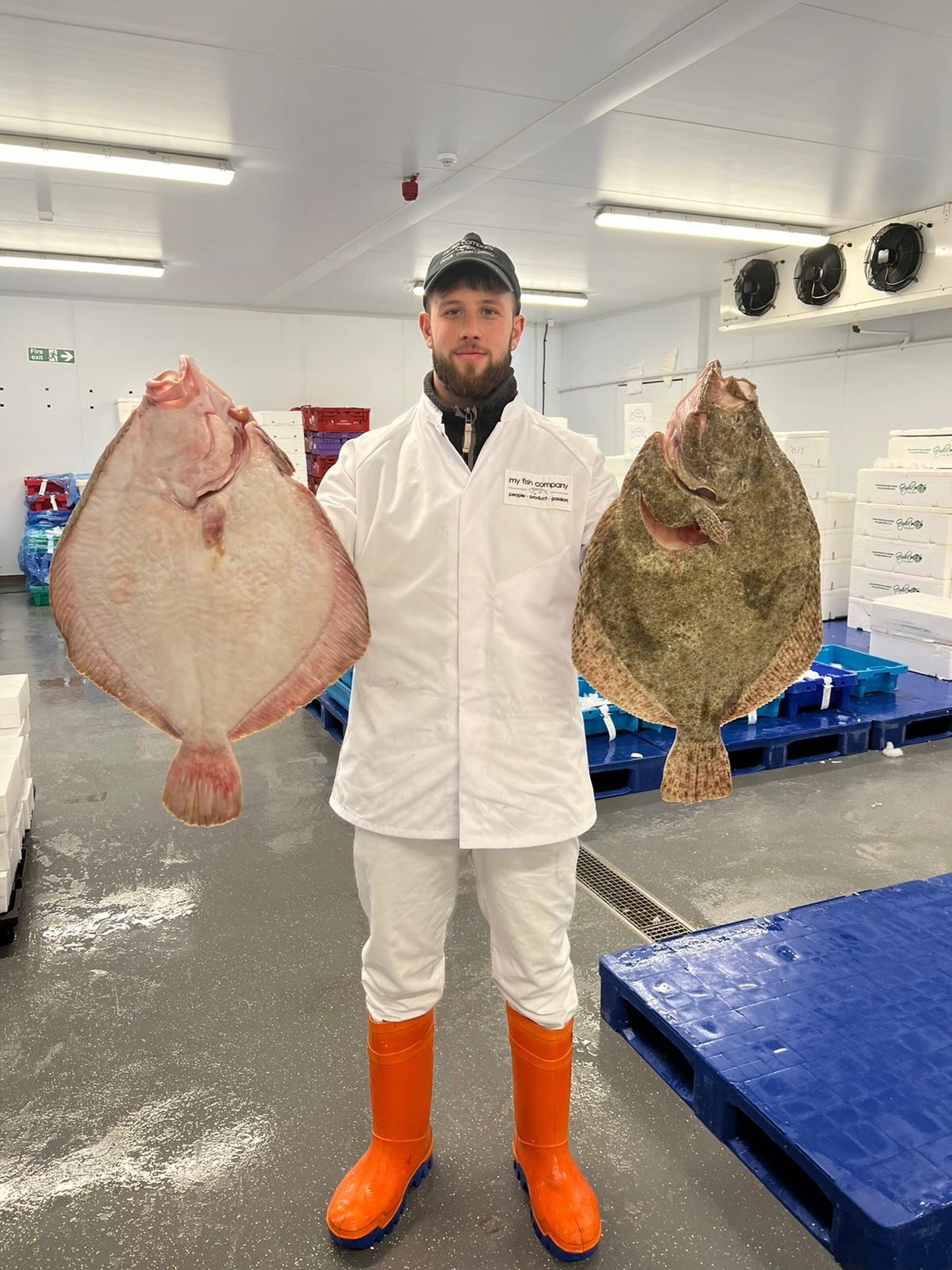 As you start rolling out your 2026 visions, we know that January is all about balancing fresh inspiration with those tighter post-Christmas margins. Whether you’re refreshing your signature dishes or testing out brand-new seafood concepts, we are here to help make the transition seamless and profitable.
At My Fish Company, we believe every fish counts. That’s why our expert fishmongers are on the bench early every morning, providing precision filleting and bespoke prep to your exact specs. We handle the hard work so your chefs don’t have to—giving you 100% yield and zero waste when it matters most.
We’d love to hear what you have planned for the season!
👨🍳 Are you sticking with the classics or diving into new species?
📉 How are you protecting your margins this month?
Get in touch with your Account Manager to talk through your menu changes. Let’s make 2026 your best year yet!
#MyFishCompany #NewYearNewMenu #ChefLife #SeafoodInnovation