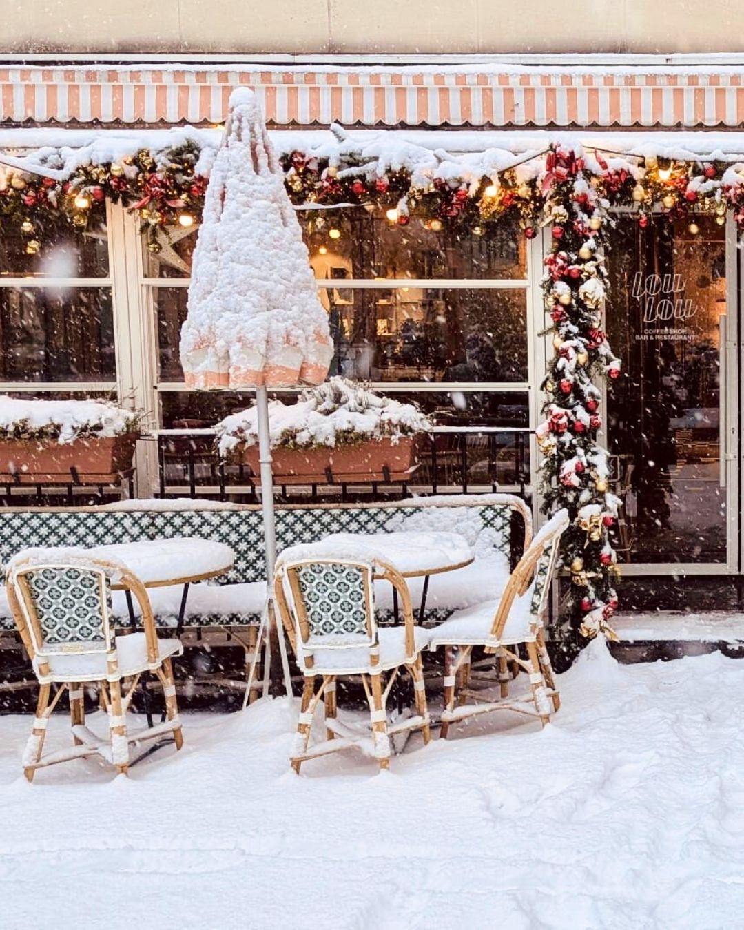 La neige s’est invitée chez Loulou.