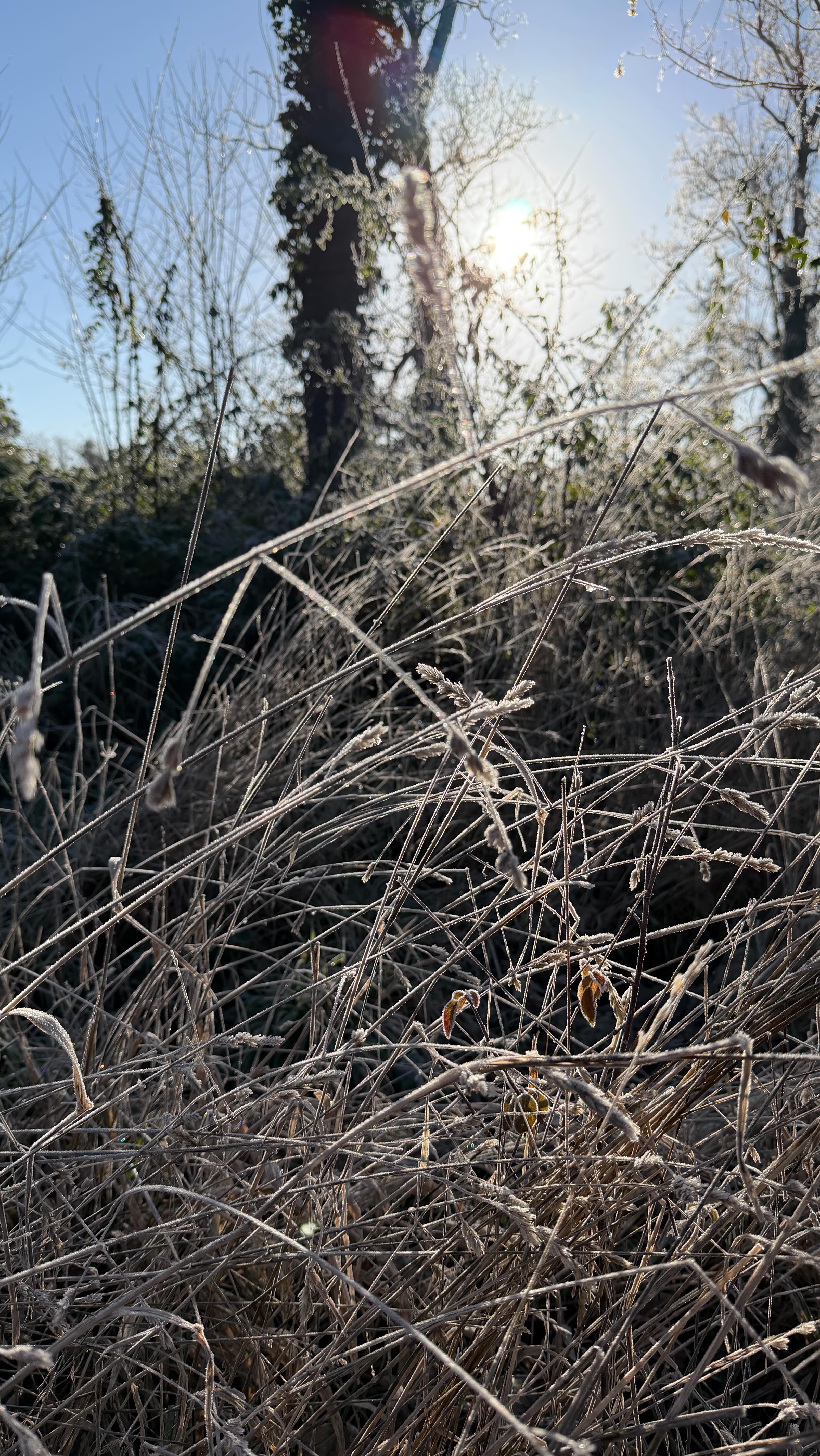 Entre givre et lumière, une journée au château ❄️
Balades, rires et tartiflette au coin du feu 🏰
Le quotidien, version château.
#viedechateau
#quotidien
#vieauthentique
#hiverauchateau
#slowliving