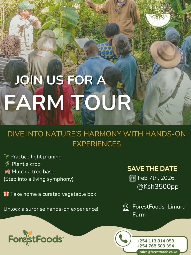 🌿 Step into a living symphony of soil, trees, and people.
Join us for a hands-on Farm Tour at ForestFoods Limuru, where nature becomes your classroom and every action matters.
🌱 Practice light pruning
🌾 Plant a crop
🍂 Mulch a tree base
✨ Discover a hidden, rewarding activity
🥕 Go home with a curated vegetable box
This is more than a tour—it’s an experience designed to reconnect you with the land, the food you eat, and the harmony that sustains us all.
📅 7th February 2026
📍 ForestFoods Limuru Farm
💰 Ksh 3,500 pp
🎟️ Limited slots available
Come curious. Leave inspired. 🌍💚
#RegenerateKenya #FarmTourExperience #FebruaryEvents #EatFromTheSource #SoilToSoul