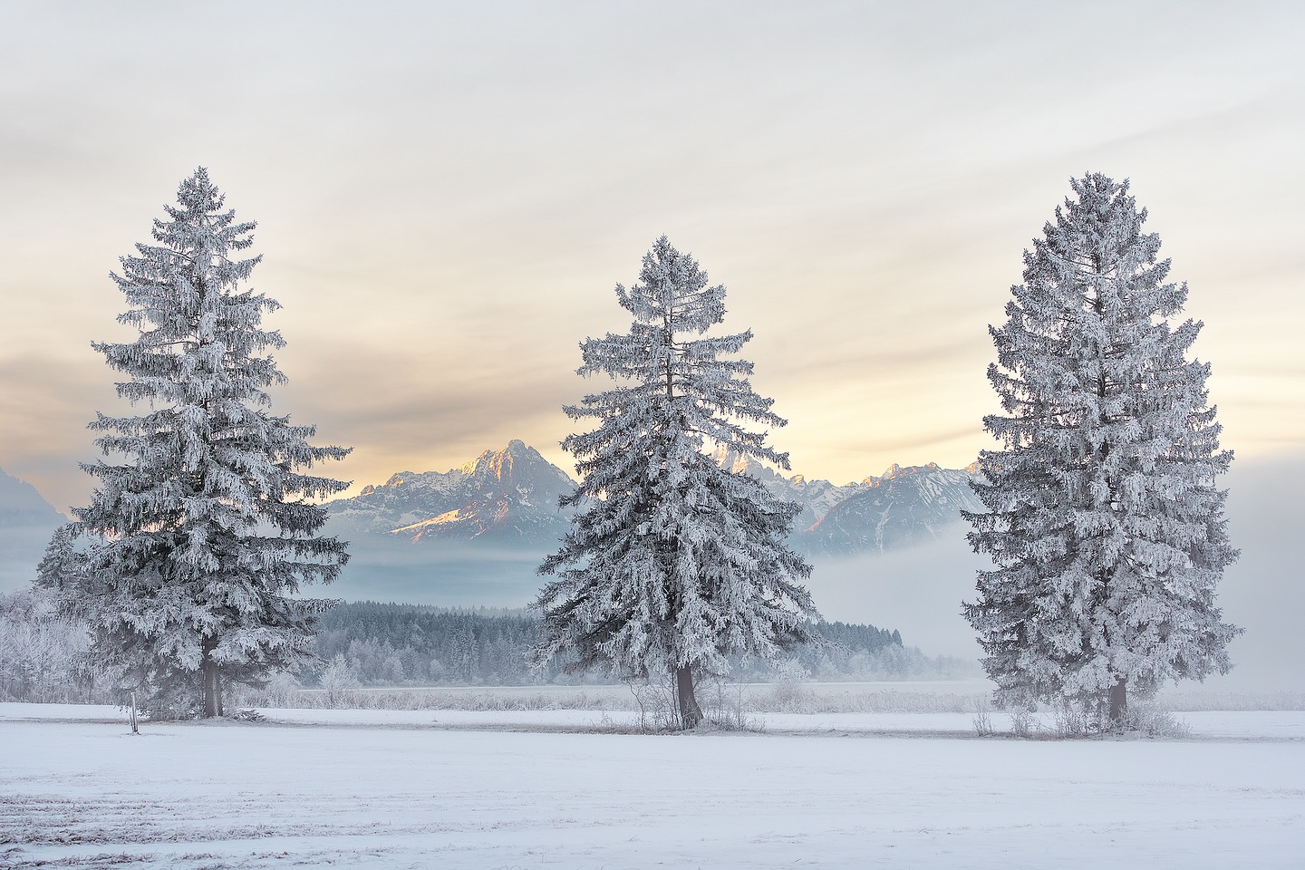 *
Winter Silence in the Allgäu
Three frost-covered trees stand quietly in the winter landscape of the Allgäu, perfectly aligned against a soft, muted backdrop. Behind them, distant mountains emerge through layers of mist, while a calm lake reflects the stillness of the morning. The first light of the day touches the peaks with a subtle golden glow, adding depth and contrast to the otherwise cool, tranquil scene.
Exif: 71mm · 1/200 sec · f/8 · ISO 400 · Sony Alpha 7R III · 70–200mm f/4
#landscapephotography #winterlandscape #allgaeu #mountainmood #naturephotography