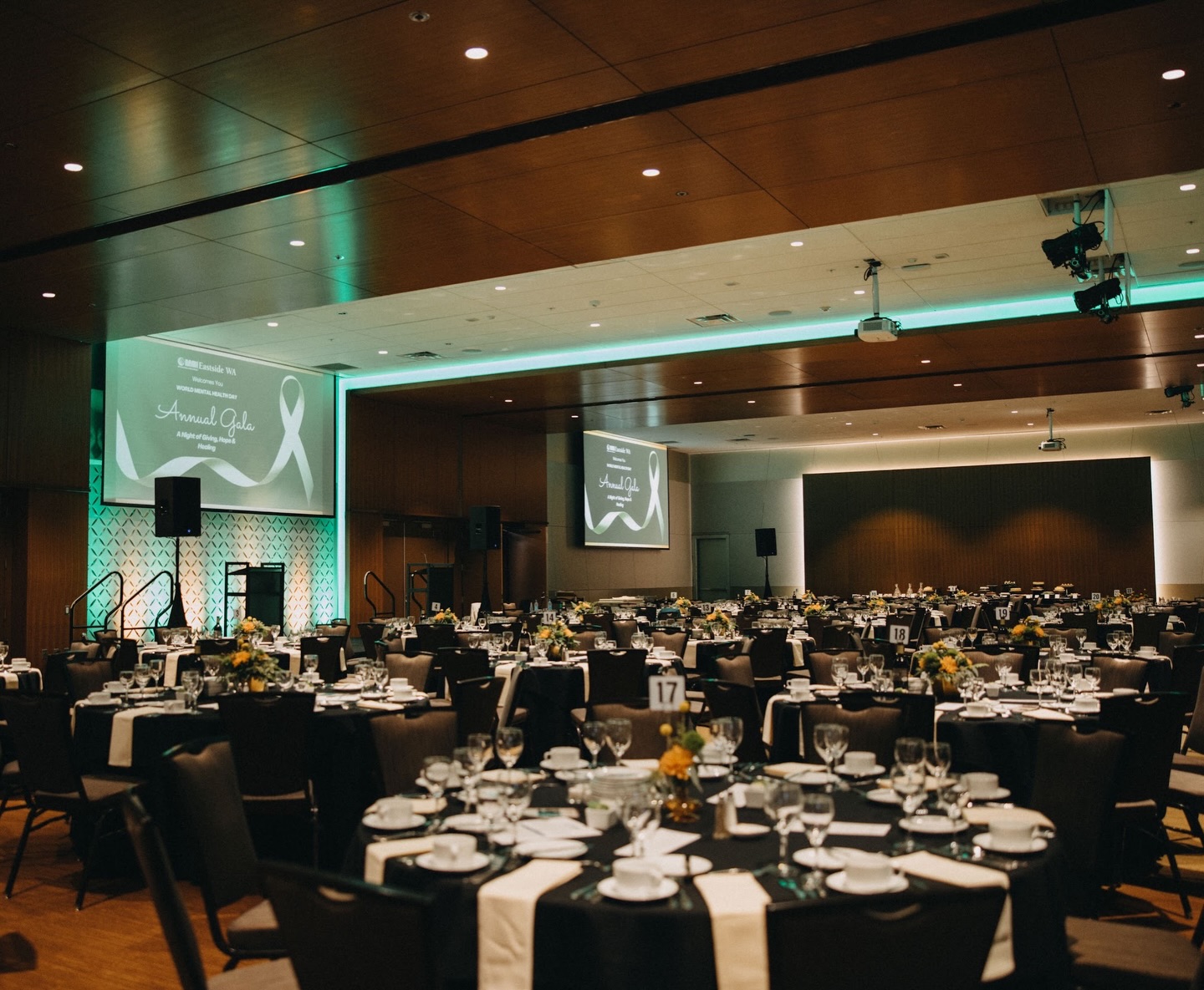 We love hearing feedback from our clients! What a joy to be a part of NAMI Eastside’s Annual Gala this past fall and to work with their phenomenal team! ✨
“GFS is an incredible organization. From our initial meeting I felt confident that our organization and event were in great hands. Every part of the process felt seamless, organized, and streamlined. The improvement from previous years of planning our events without GFS was very apparent. They allowed us access to wonderful tools and resources, kept our planning on track with clear to do lists, and took care of communication with third party vendors so that we could focus on relationship building and sponsorship. Ten out of ten would recommend their services. The team was also incredibly kind and personable and made us feel important and heard! Our event ran without a hitch and was by far the best gala to date.”
- Stephanie Nannariello, NAMI Eastside Board Vice President