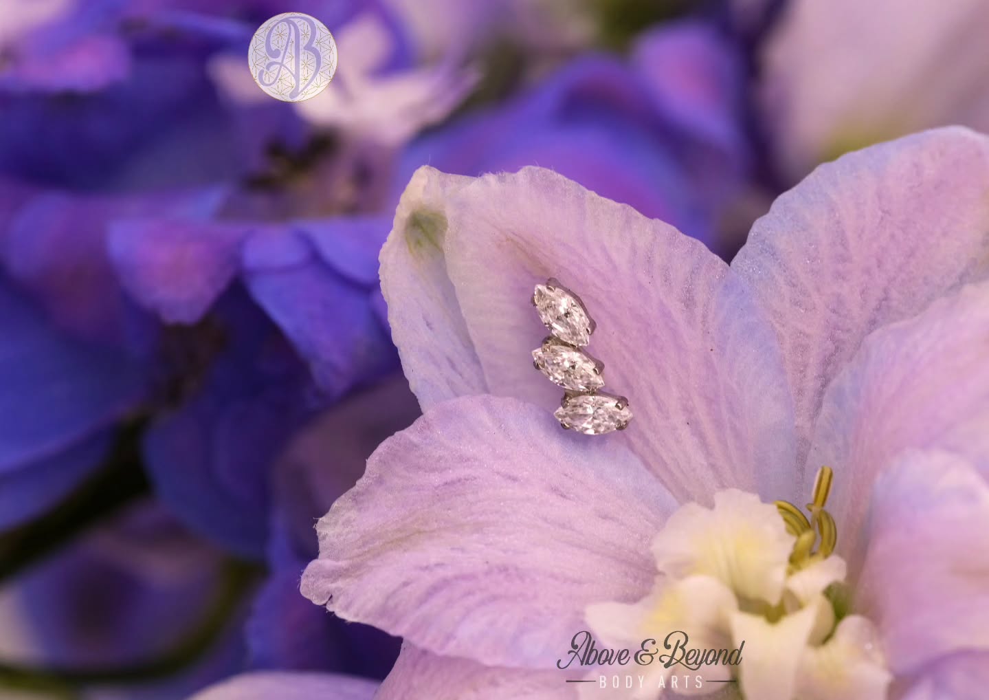 On this cold and rainy January day, let's take a nice look ahead to spring shall we? ☔️
This "Sprig" Marquis Fan from @industrialstrengthbodyjewelry is a beautiful piece for any conch or flat to follow the natural curvature of the ear, but also give you so flashy bling to complete your look ☺️
📷: @50percentsnakes
#industrialstrength #bodyjewelry #piercing #safepiercing #santabarbara