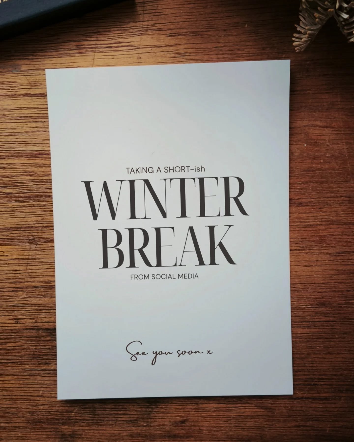 I'm not sure if it's because I'm old enough to remember what life was like before social media existed, but I find taking complete breaks from it to be beneficial for my creative work and overall wellbeing. So I'm taking a break! I'll be back in February. During this time I'll be focusing on art, loved ones, my local community, random cats I meet on the street, finding a good Jasmin tea supplier and whatever ignites my imagination. Looking forward to sharing my new creations and inspirations with you soon x