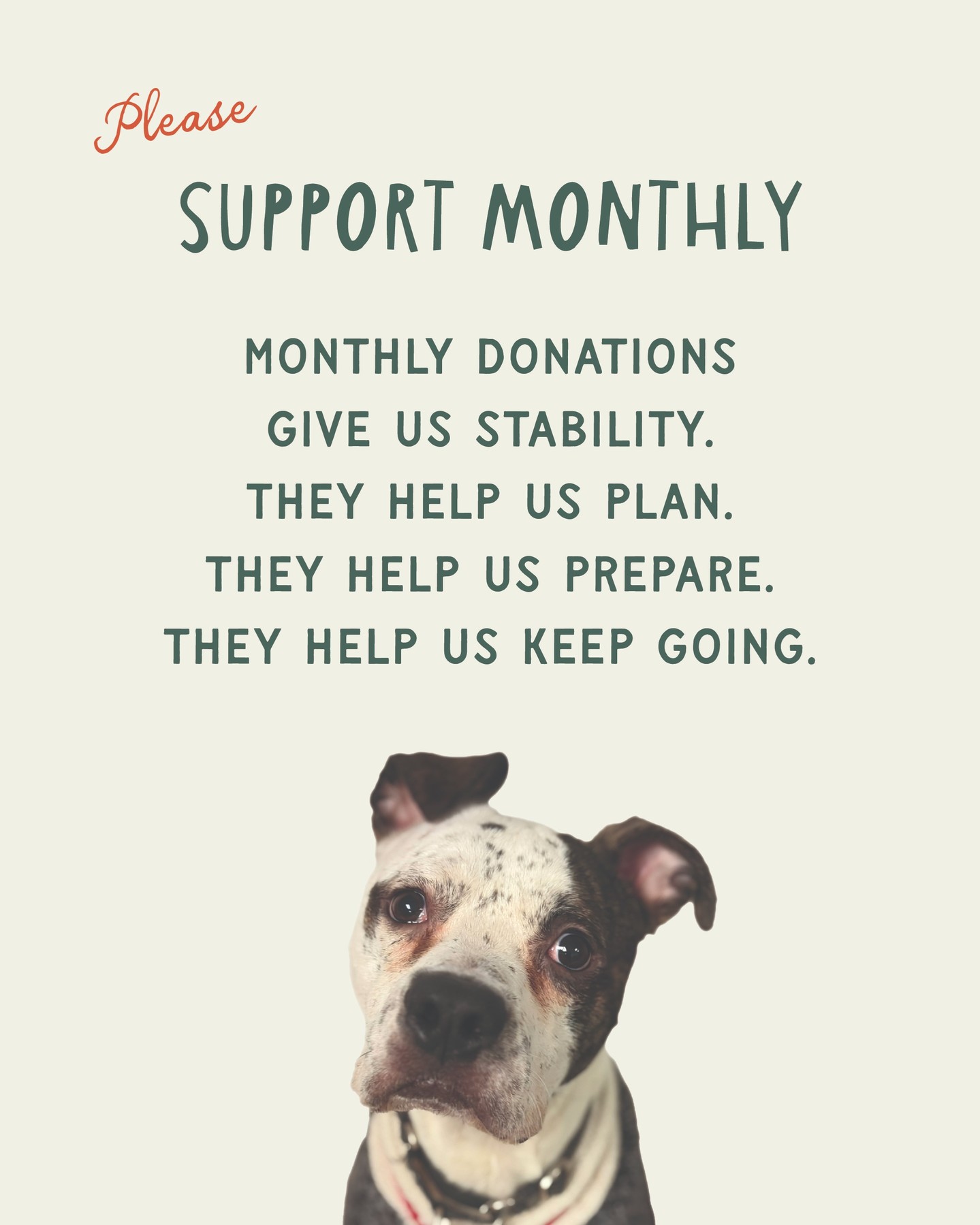 Behind every adoption is daily care, vet visits, food, meds, cleaning, repairs, and yes… a truly impressive amount of poop. It all adds up, and it happens every single day.
Monthly donors are what keep this rescue running. Your steady support helps us care for the animals in our space right now and say yes to the ones who still need us.
If Stella’s Rescue has ever made you smile, laugh, or fall in love with a furry face, consider supporting monthly. Even a small recurring gift makes a big difference.
Thank you for being part of the pack.
Link in bio to join.
