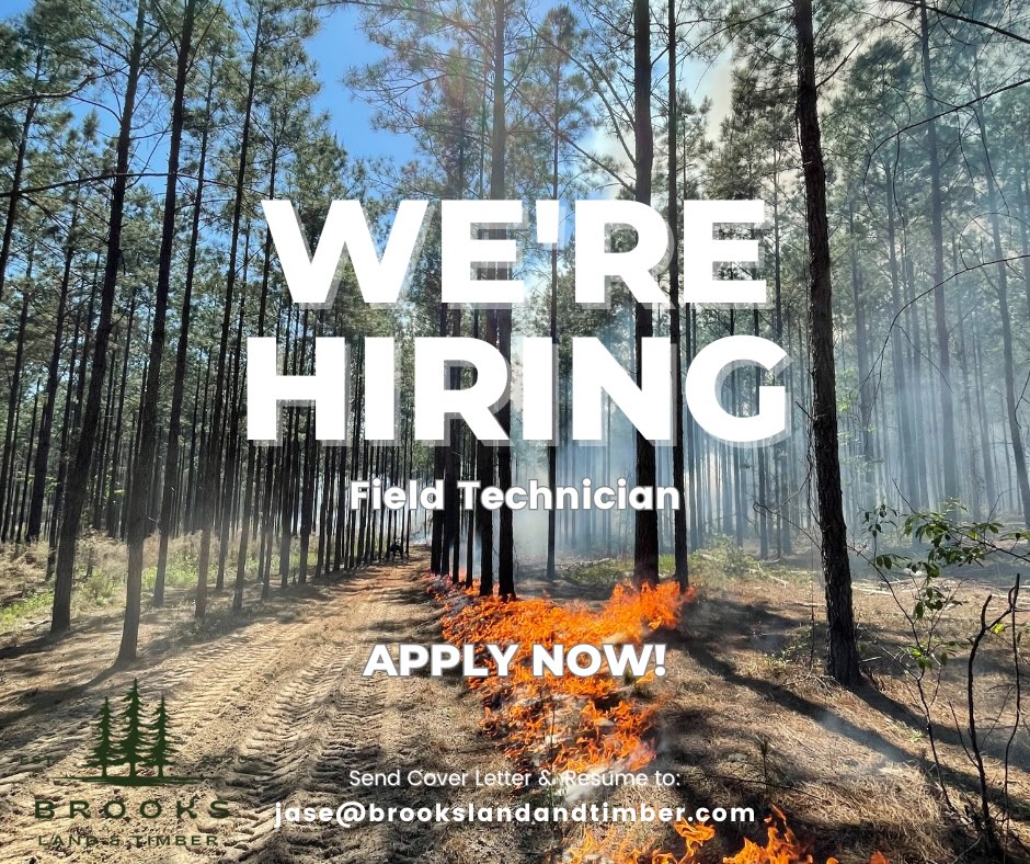 HIRING🌲
.
Field Technician
Must enjoy Outdoors / Hands-On Work
💲Hourly Pay
🗓️Seasonal Position —> Full-Time
.
Duties include:
• Construction Job Clean-up
• Landscaping & Property
Maintenance
• General Outdoor Labor
• Prescribe Burn Assistance
.
What we’re looking for:
Dependable & hardworking
• Comfortable with physical outdoor work &
Equipment
.
Perfect for someone who enjoys working outside, doesn’t mind getting dirty, & wants to gain a ton of in field experience.
📞: 678.414.5505
📧: jase@brookslandandtimber.com