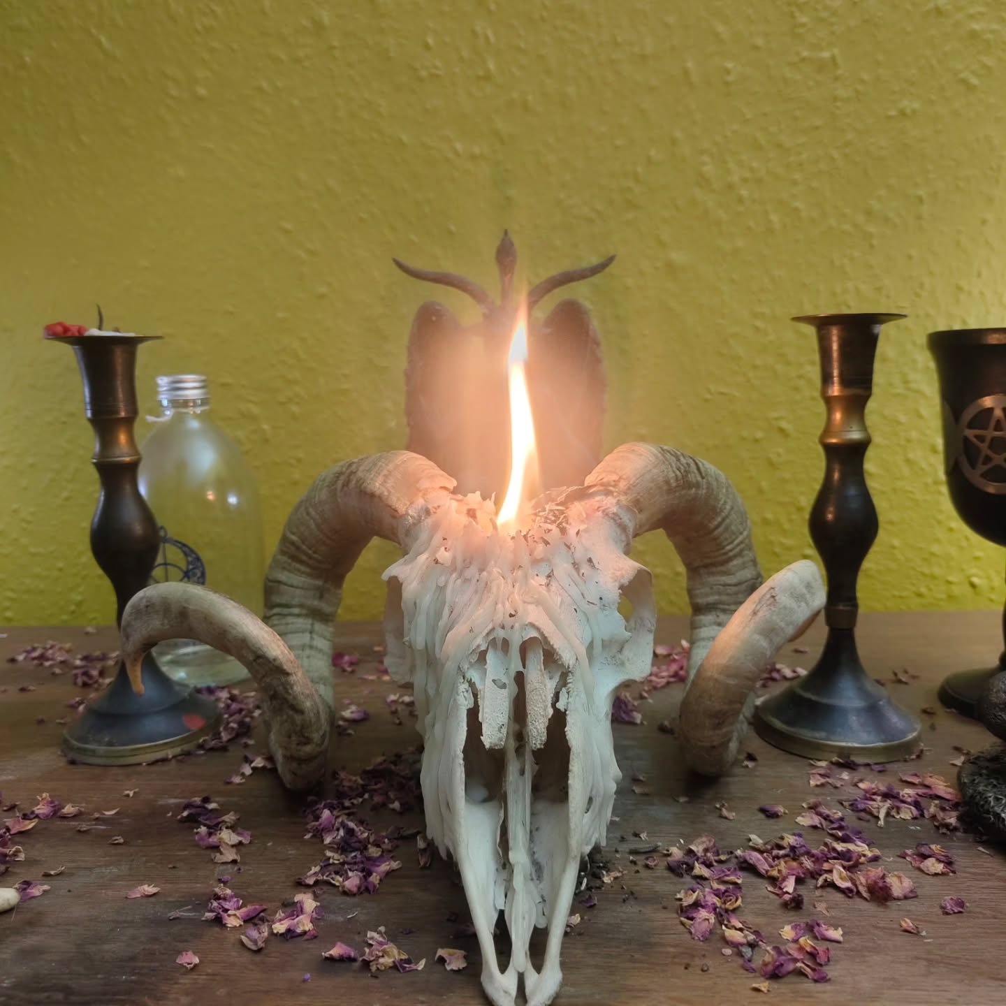 Good evening Wytches
We've been asked lots of questions regarding our post this morning, so I wanted to come back and clarify a few things! Thank you for all the great questions today!
The difference between online and in person aside from price, the online/remote doesn't have meets like in person.
All the teachings are the same, there's PDFs and slides of our coven meet teachings.
Everyone is in a big group chat together so plenty of opportunities to interact. I give extra daily and weekly exercises, Which members are more than welcome to do together.
We are working on a way to boost our internet so that online members can join us on Festival rituals
Below is also a more detailed look at the first season (first 3 months).
Season 1 is all about Runes, The Ogham and Magickal languages and sigils.
Starting this month with the Runes,how read them, interpret them, different rune readings.
How to craft them, empower them,how to make different types of rune cloths.
Next Month is Ogham, how to read and interpret them and how to craft them.
I will do the original Celtic trees plus the forfeda.
Then in march I'm teaching Magickal languages and sigils including how to craft your own, how to craft bind runes, ogham script and a final lesson on how to write in your Grimore in other Magickal languages/scripts.
Theres a transitional lesson between each season.
As the second season is about Magickal Herbalism the transitional lesson is how to make your own Magickal and botanical inks.
Please keep those questions coming
See you all soon
Blessings of the Land Sea and the Sky ❤️❤️❤️❤️