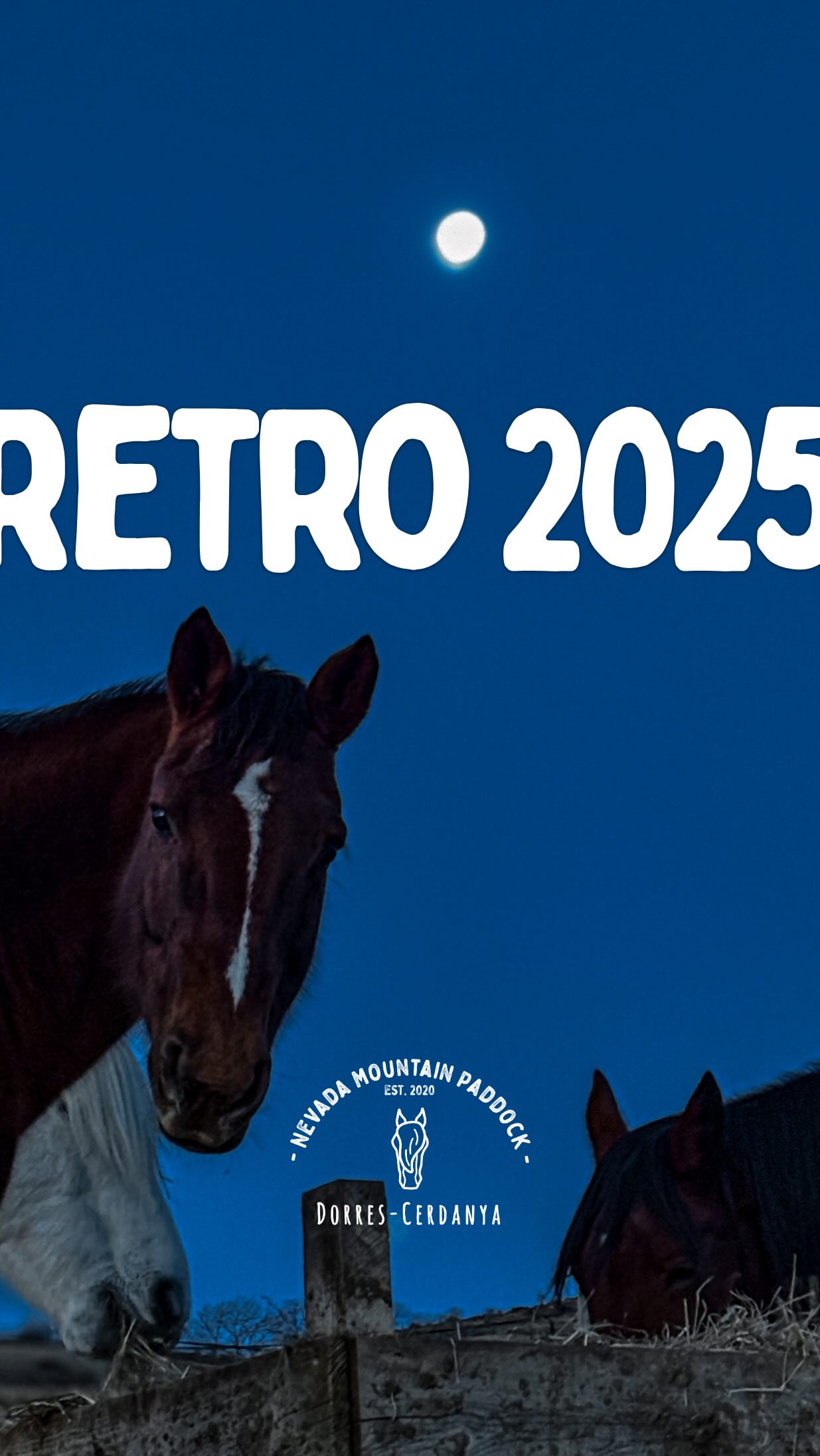 2025, déjà le cinquième anniversaire de Nevada Mountain Paddock, c’est fou! Cette année a encore amené son lot d’accomplissement dans cette aventure incroyable… Entre autre, la création de notre CFA des métiers équestre et l’ouverture de notre première promo d’Animateurs d’Equitation! Un pas de plus dans notre contribution à l’évolution du monde équestre, et surtout du regard des Humains sur les Chevaux.
2026 est déjà la, prometteuse, avec de nombreuses autres marches à franchir pour vous apporter une expérience avec les Chevaux encore plus incroyable 🏔️
Bonne année 2026 à tous!
#horselife #randonneeequestre #bienetreequin #cerdanya #formationpro