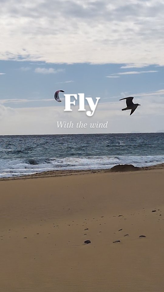 People and birds can fly & surf. How beautiful is this?!
#portosantoisland❤️ #portosantoisland #howtoportosanto #portosanto #portugal #ilhadourada #holiday #birds #wind #view