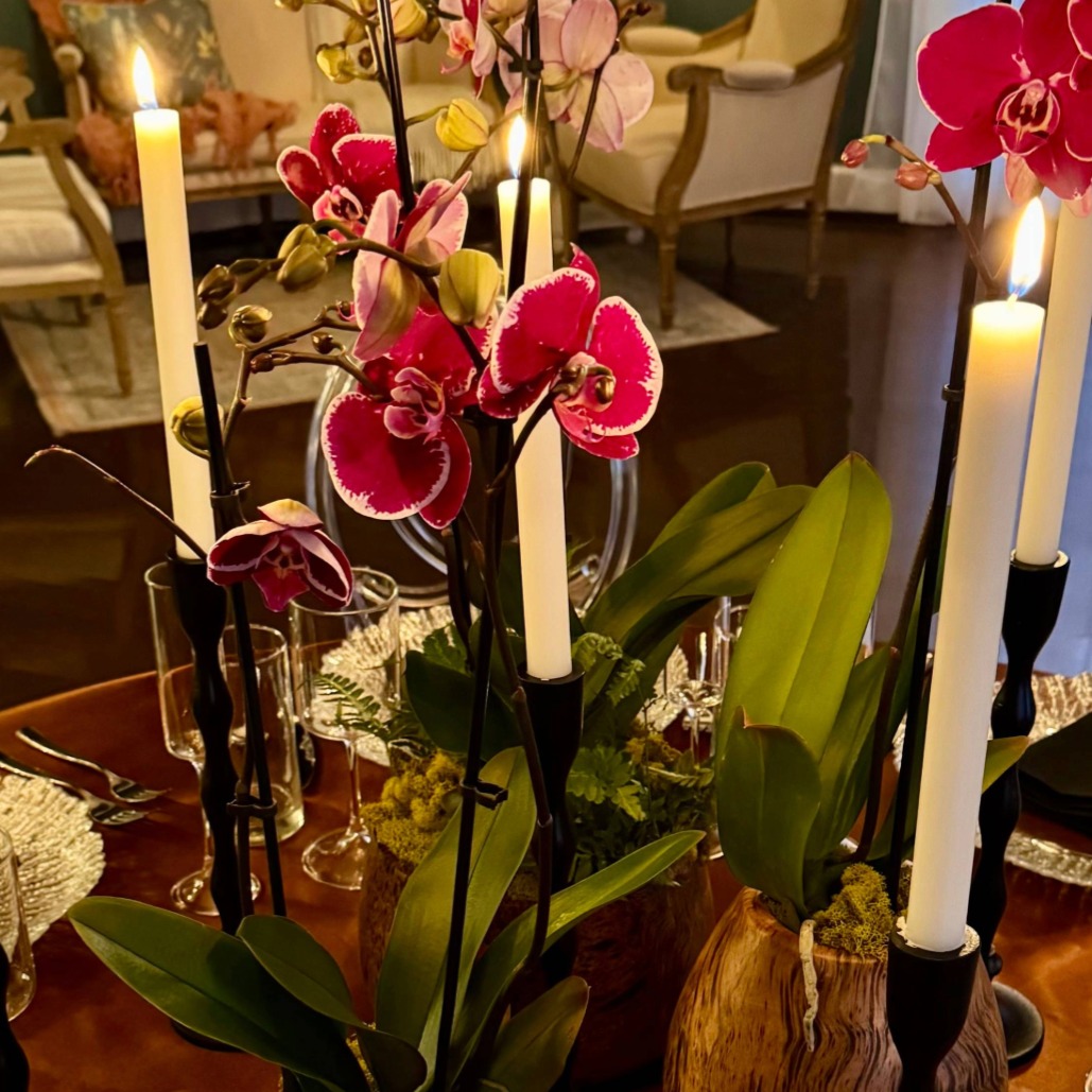 ORCHID CENTERPIECE
#orchids #centerpiece #natural #plants #creative #floral #floran #candles #dinner #entertain #privateparty #venue #venuerental #eventspace #edgewoodclub #edgewood #pittsburgh