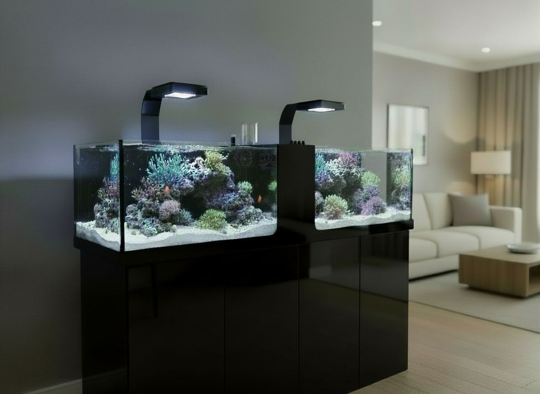 DUAL FRAG TANK IDEA!
We�ve got a new concept we�re playing with and we want your honest feedback.
What would you think of a DUAL tank with a CENTRAL FILTER, so you can run 2 separate ecosystems in one All-In-One setup?
�7e2 Two independent sections
�7e2 One central filtration area
�7e2 Perfect for running different coral types/conditions side-by-side
How would YOU run it?
1) Mixed reef + frag system
2) SPS side + LPS/softies side
3) Quarantine/observation side + display side
Comment what size you�d want (and why) �447
Websites:
https://www.thepolyppros.eu
https://www.thepolyppros.com
#thepolyppros #reefkeeping #fragtank #fragging #coraladdict #reef2reef #reeftank #reefaquarium #saltwateraquarium #marineaquarium #acrylictank #customtank #aio #allinone #reefbuild #reefcommunity #coralreef #sps #lps #zoas #acans #euphyllia #reefgear #reefsupplies #reeftankuk #reeftankmalta #reeftankeurope #aquariumdesign #aquariumlife #reefing