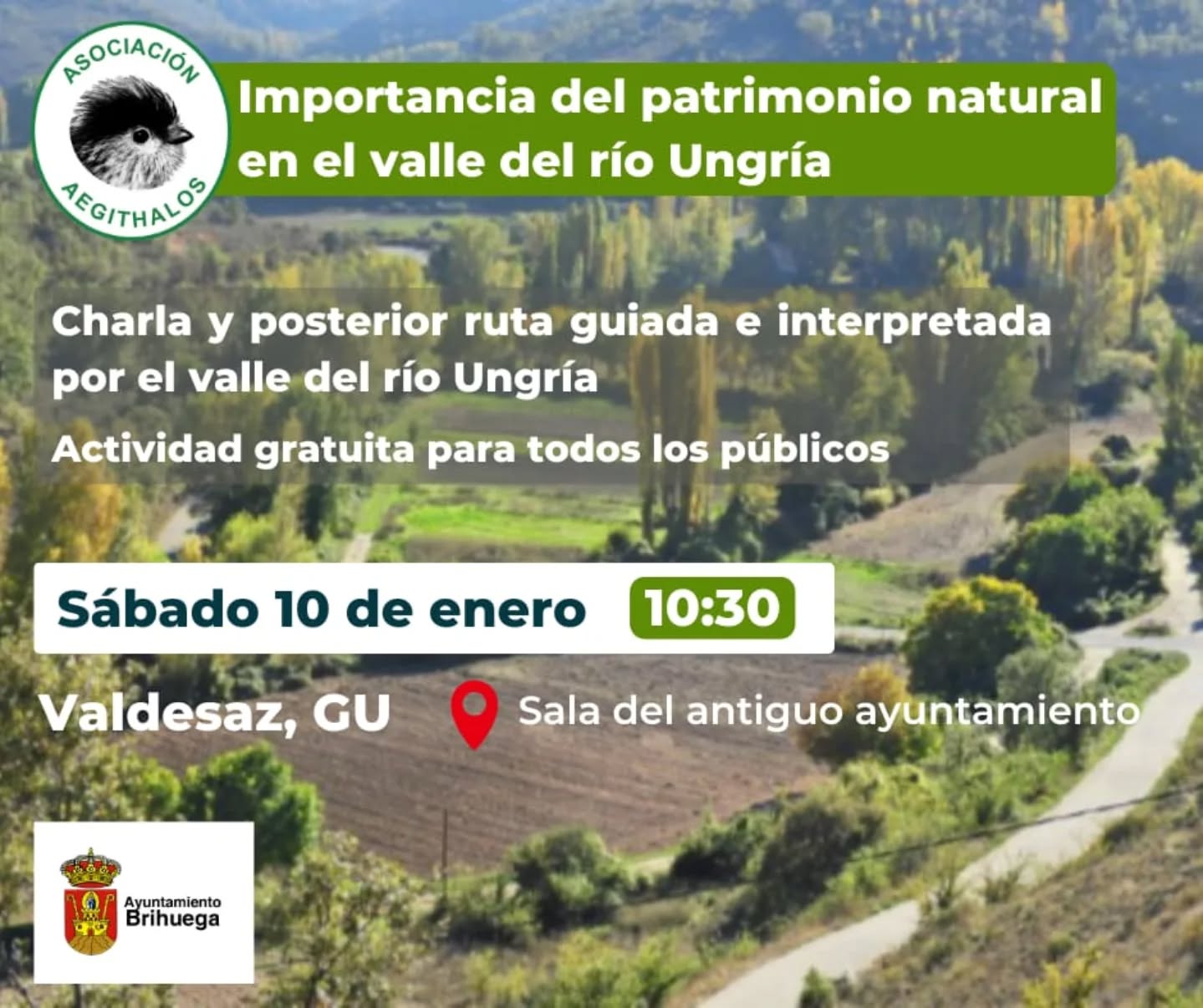 🐦🌳 ¡Nueva actividad! Para comenzar el año os proponemos una charla y ruta guiada por el valle del río Ungría.
📍Valdesaz, Guadalajara
🗓️ Sábado, 10 de enero
ℹ️ Más información en el cartel
Recuerda que puedes mantenerte informado de las novedades de la asociación a través de su página web (enlace en bio o en la siguiente dirección https://asociacionaegithalos.wixsite.com/aegithalos).
#Brihuega #naturaleza #asociacionaegithalos #rutas