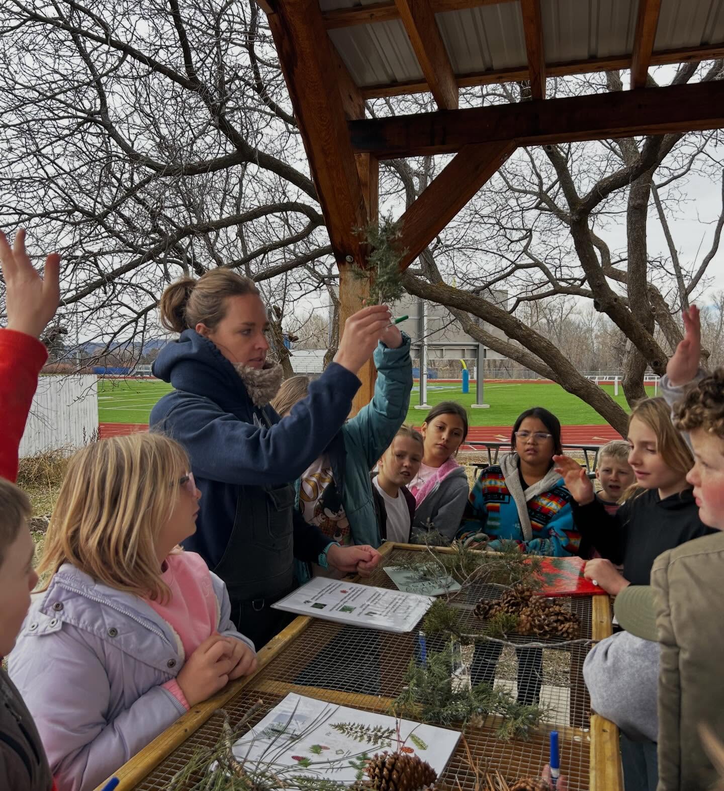 This week we worked on using a dichotomous key to identify trees around our school campus!
🌲🌳🌲🌳🌲🌳🌲🌳🌲🌳🌲🌳🌲🌳🌲
A dichotomous key is a tool used in biology for identifying organisms through a series of statements and is a step by step way to classify things in nature.
We created one that is students friendly and this activity is valuable because it encourages:
- reading
- observation
- critical thinking
- writing
- problem solving
- slowing down
We successfully identified ponderosa pine, box elder, cottonwood, piñon pine, aspen and blue spruce.
#dichotomous #mstfp #lettuceturnipthebeet #schooltofarm #farmtoschool #elementarybiology #scienceclass #environmentaleducation #outdooreducation #experiential