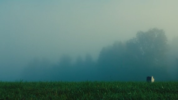 SIMS 3 is out now by THE @softeepopstar !!!
Had the most fabulous time creative directing + costume design alongside my literal family @softeepopstar & @machellovesyou ❤️
Such a fun weekend collaborating with this incredible crew.
Directed by @machellovesyou
Cinematography: @riededervaydp
Creative Direction: @machellovesyou & @grace__roden
Styling: @grace__roden
Assistant Camera: @gusthornton
Edited by @devon.solwold
Color: @pineapplejack
Produced by: @softeepopstar & @machellovesyou